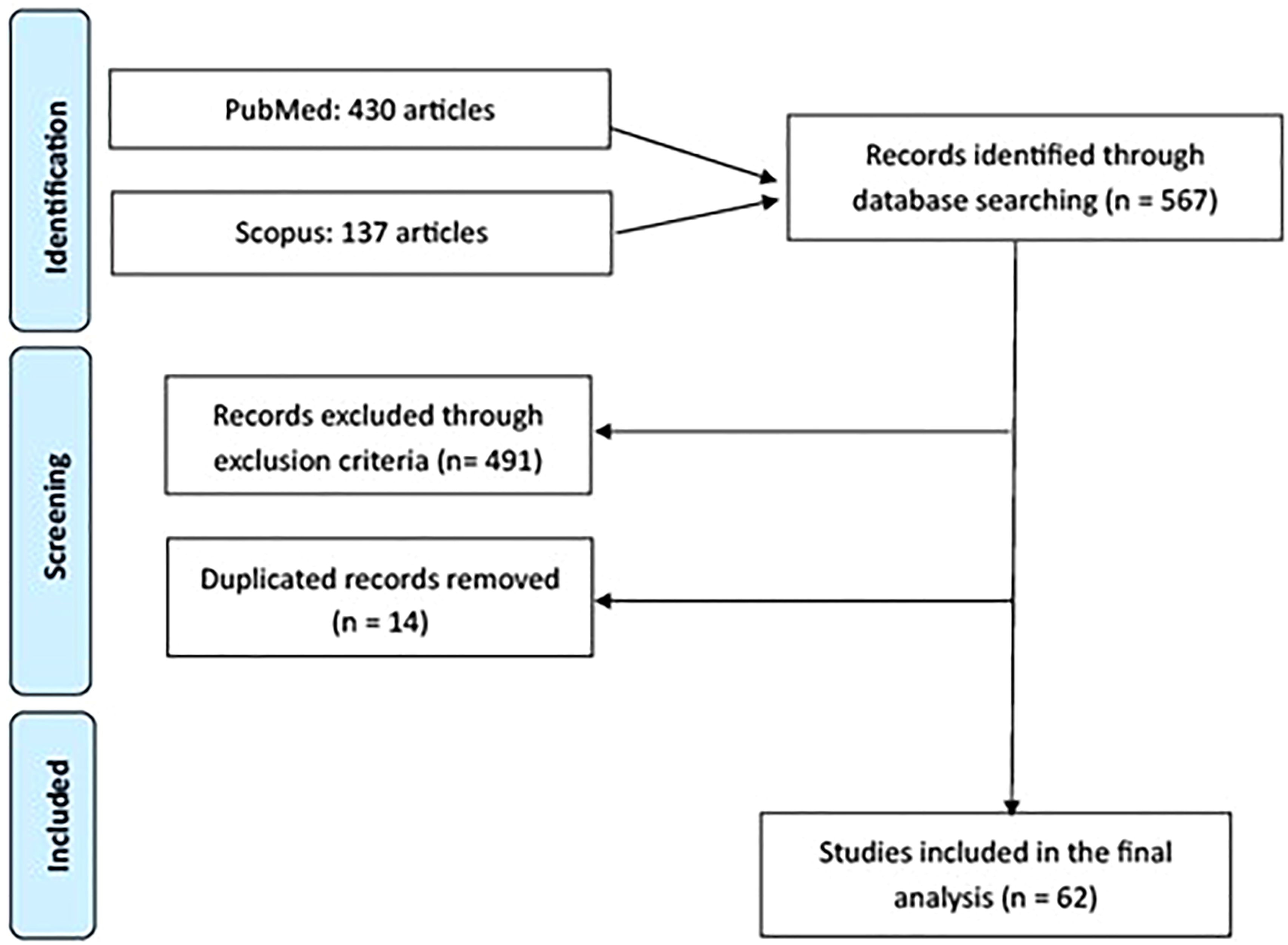 Flowchart illustrating the selection process for studies. Initially, 567 records were identified: 430 from PubMed and 137 from Scopus. After applying exclusion criteria, 491 records were removed, and 14 duplicates were eliminated. This left 62 studies for final analysis.