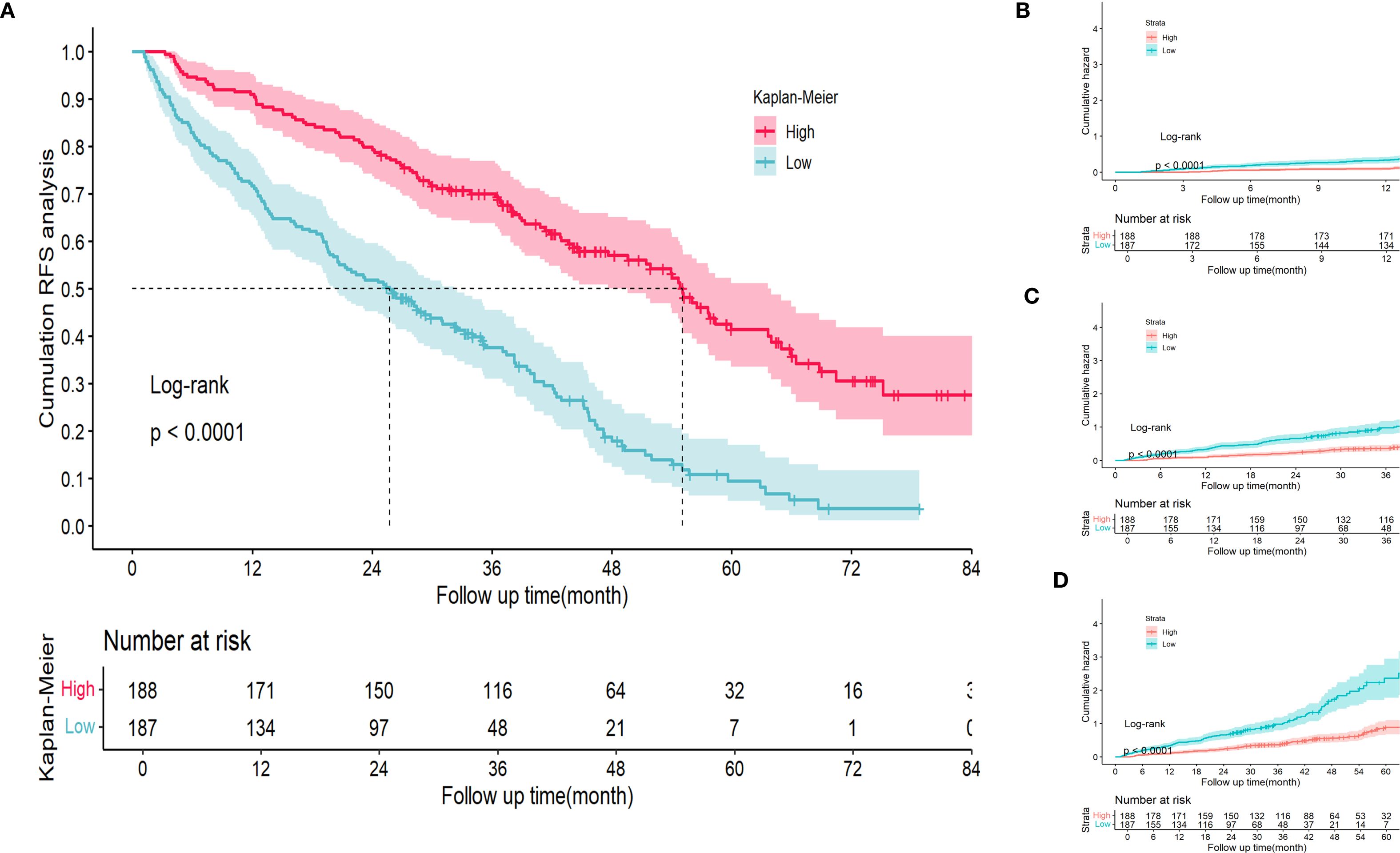 Kaplan-Meier survival analysis graphs comparing high and low groups. Panel A shows cumulative RFS analysis with a significant difference (p < 0.0001) between groups over 84 months. Panels B, C, and D present cumulative hazard plots for different follow-up times, each indicating significant differences (p < 0.0001). The graphs include color-coded survival curves, confidence intervals, and tables for numbers at risk.