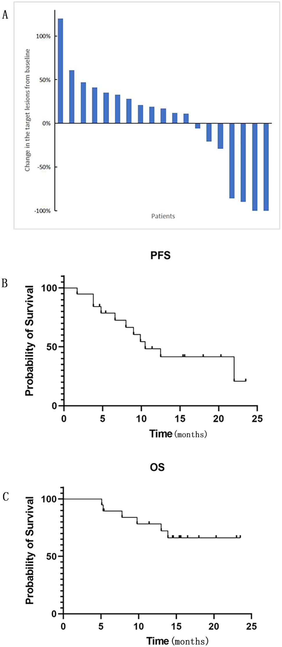 Graph A shows a waterfall plot depicting changes in target lesions among patients, with values ranging from over 100% increase to 100% decrease. Graph B is a Kaplan-Meier curve for progression-free survival (PFS), showing a decline in survival probability over 25 months. Graph C is a Kaplan-Meier curve for overall survival (OS), also displaying a survival probability decline over the same period.