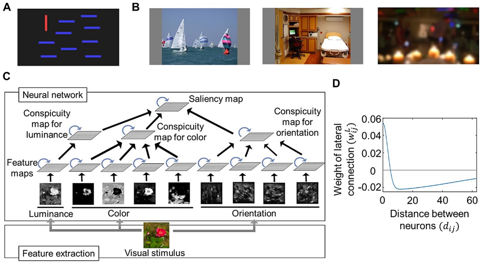 Panel A shows a red vertical line among blue horizontal lines. Panel B includes three images: sailboats in the ocean, a hospital room, and a blurred scene with lights. Panel C depicts a neural network diagram processing visual stimulus into feature maps for luminance, color, and orientation, leading to a saliency map. Panel D is a graph plotting the weight of lateral connections against the distance between neurons, showing a curve decreasing sharply before leveling.