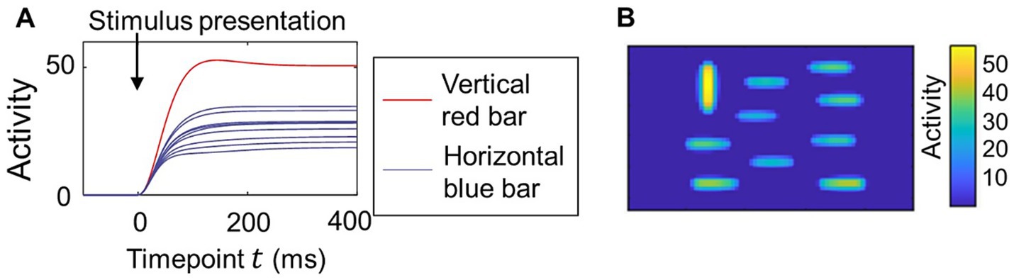 Graph A shows neural activity over time in response to stimuli. The red line represents a vertical bar and blue lines represent horizontal bars. Activity spikes upon stimulus presentation. Panel B is a heat map illustrating stimulus activity, with colors from blue to yellow indicating increasing activity levels.