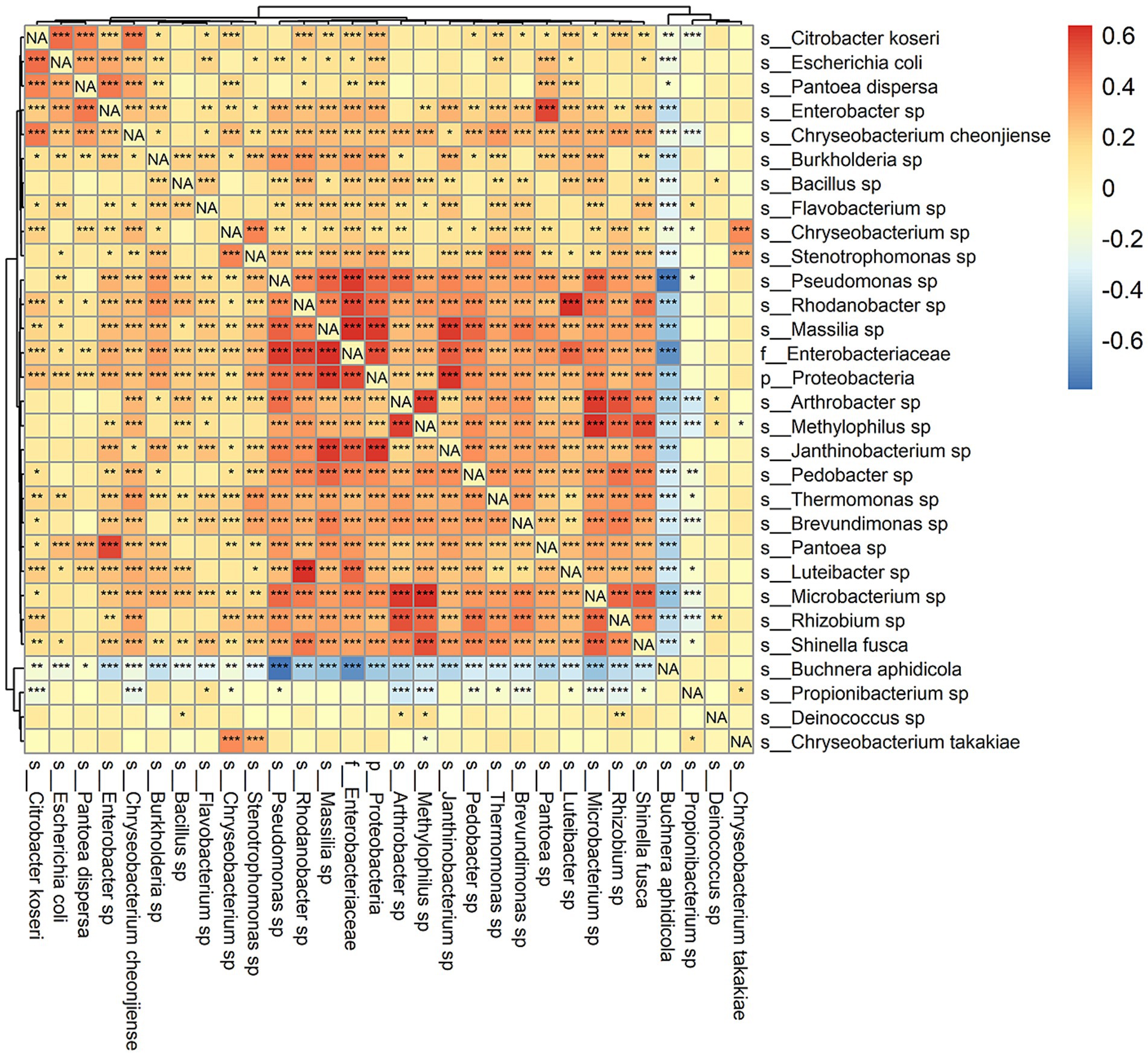 Heatmap displaying correlations among various bacterial species, colored from red to blue. Positive correlations are in red, negative in blue, with yellow indicating near-zero correlation. Non-available data is labeled “NA”. Species names are listed on the x and y axes. A color gradient legend on the right indicates correlation values ranging from negative zero point six to positive zero point six.
