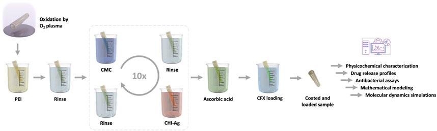 Flowchart showing a sample preparation process. Starts with oxidation by oxygen plasma, followed by steps involving PEI, rinse, CMC, and CHI-Ag with a repeated cycle of rinse, CMC, and CHI-Ag ten times. Afterward, the sample undergoes ascorbic acid treatment, CFX loading, resulting in a coated and loaded sample. The prepared sample is analyzed for physicochemical characterization, drug release profiles, antibacterial assays, mathematical modeling, and molecular dynamics simulations.