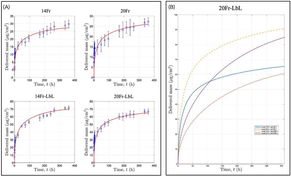 (A) Four graphs showing delivered mass over time for different conditions: 14Fr, 20Fr, 14Fr-LbL, and 20Fr-LbL. Each graph has an x-axis labeled