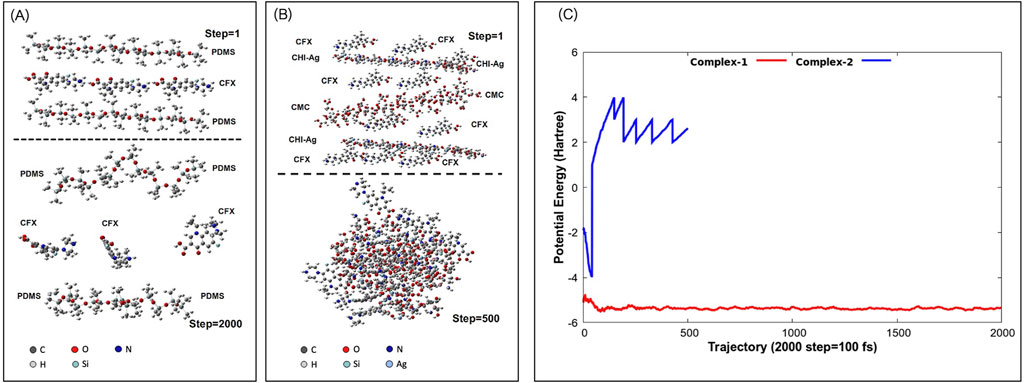 Three-part image: (A) Molecular structures of PDMS and CFX at Step 1 and Step 2000, showing configuration changes. (B) Molecular structures of CFX, CHI-Ag, and CMC at Step 1 and Step 500, illustrating aggregation. (C) Graph of potential energy over trajectory steps for Complex-1 and Complex-2, with Complex-1 in red remaining stable, and Complex-2 in blue showing fluctuations.
