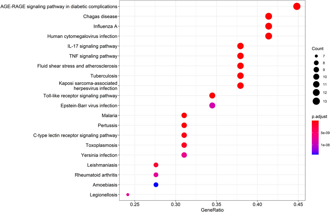 Dot plot visualizing KEGG pathways related to gene ratios and p-values. Larger red dots indicate higher count and lower p-values. Pathways include AGE-RAGE signaling and influenza. Color gradient ranges from blue to red indicating p-value adjustment from 1e-08 to 5e-09.