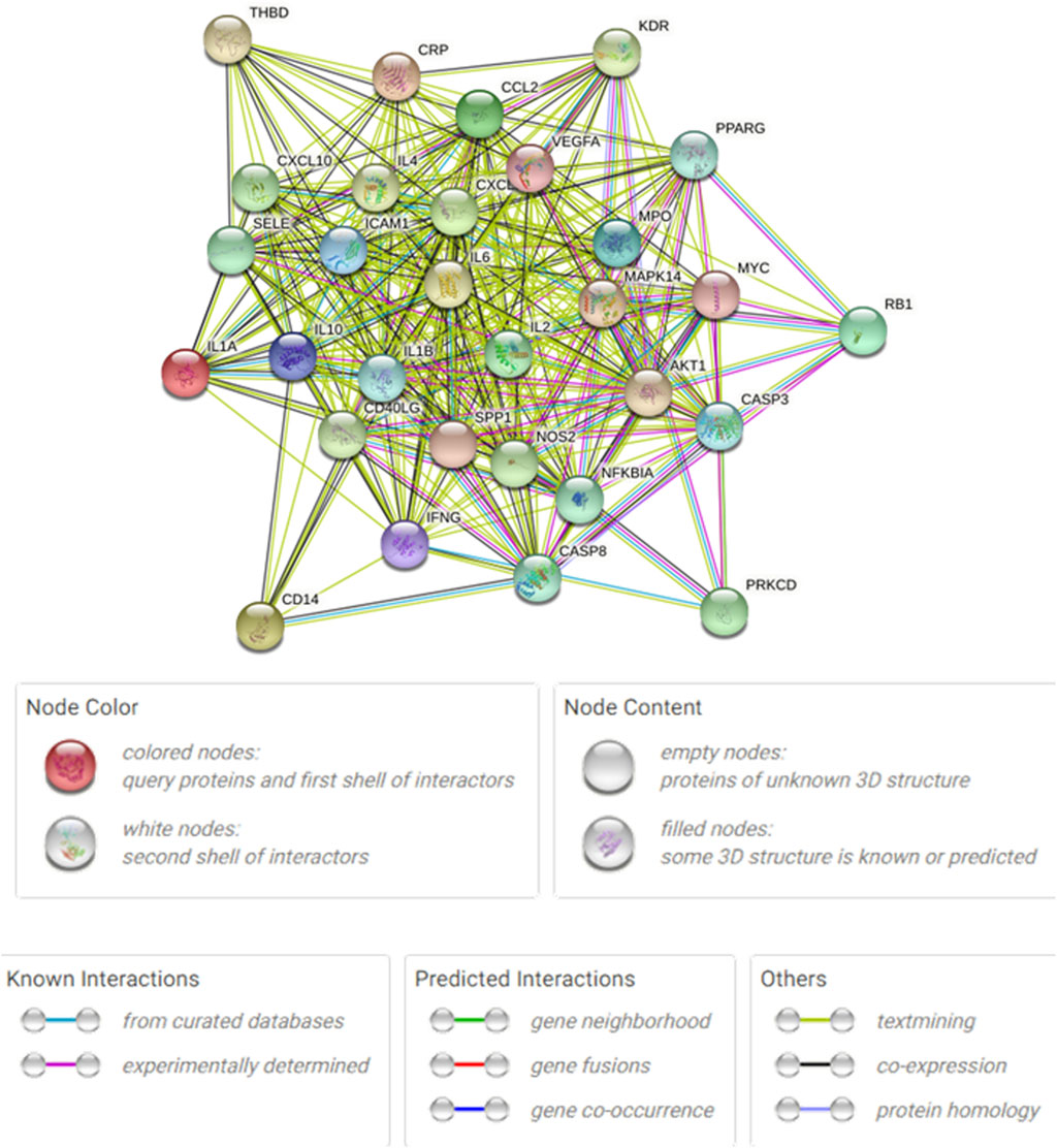Protein-protein interaction network displaying nodes and edges representing proteins and their interactions. Colored nodes indicate query proteins and primary interactors, while white nodes signify secondary interactors. Node fill indicates 3D structure knowledge. Edge colors denote interaction types: blue for curated database, pink for experimental data, and green, red, and black for predicted interactions like gene neighborhood, gene fusions, and gene co-occurrence. Additional interaction types include text mining, co-expression, and protein homology.