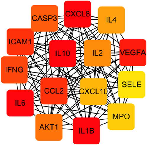 Network diagram illustrating interactions among various proteins and genes. Nodes are represented as colored squares, including IL10, CXCL8, IL4, IL2, and others, connected by numerous black lines indicating relationships.