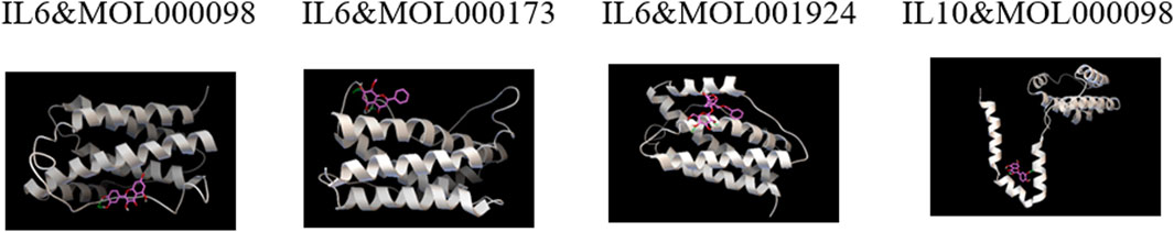 Four molecular structures with alpha helices and coiled regions are shown, identified as IL6&MOL000098, IL6&MOL000173, IL6&MOL001924, and IL10&MOL000098. Each structure features a highlighted ligand in magenta within the protein folds, set against a black background.
