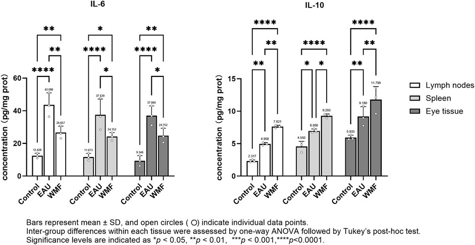 Bar graphs showing IL-6 and IL-10 concentrations in lymph nodes, spleen, and eye tissue for Control, EAU, and WMF groups. Mean ± SD is depicted, with open circles for individual data. Significant differences are marked by asterisks, indicating statistical significance levels: * for p < 0.05, ** for p < 0.01, *** for p < 0.001, and **** for p < 0.0001.