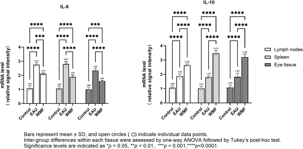 Bar graphs showing mRNA levels of IL-6 and IL-10 with relative signal intensity for lymph nodes, spleen, and eye tissue across control, EAU, and WMF groups. Statistical significance is indicated with stars, showing p-values. Bars represent mean ± SD with individual data points marked.