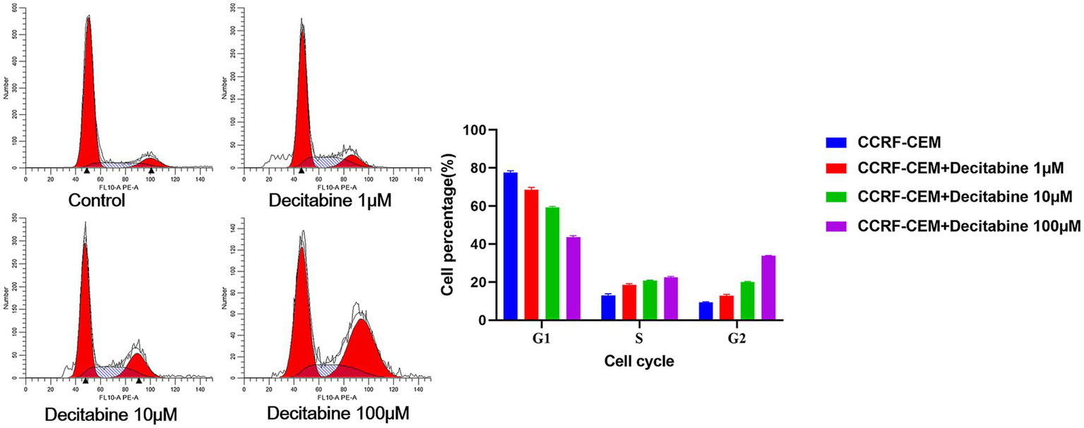 Flow cytometry plots show cell distribution across different phases under control and varying decitabine concentrations (1, 10, 100 micromoles). A bar graph on the right displays cell cycle phase percentages (G1, S, G2) in blue, red, green, and purple, corresponding to different treatments.