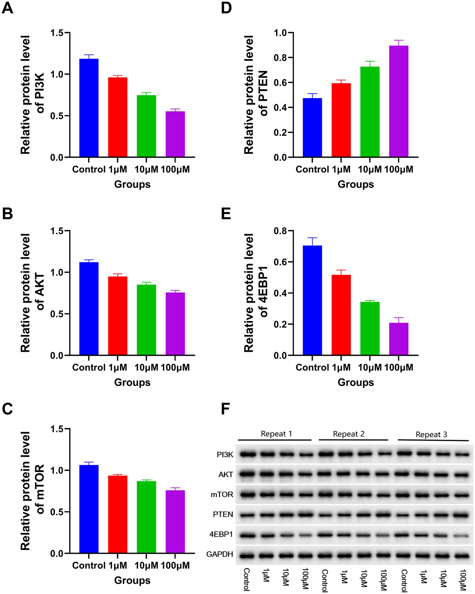 Bar charts compare the relative protein levels of PI3K, AKT, mTOR, PTEN, and 4EBP1 across control, 1μM, 10μM, and 100μM groups. Each chart shows changes in protein expression levels. An accompanying blot image displays protein bands for PI3K, AKT, mTOR, PTEN, 4EBP1, and GAPDH across three repeats for each group.