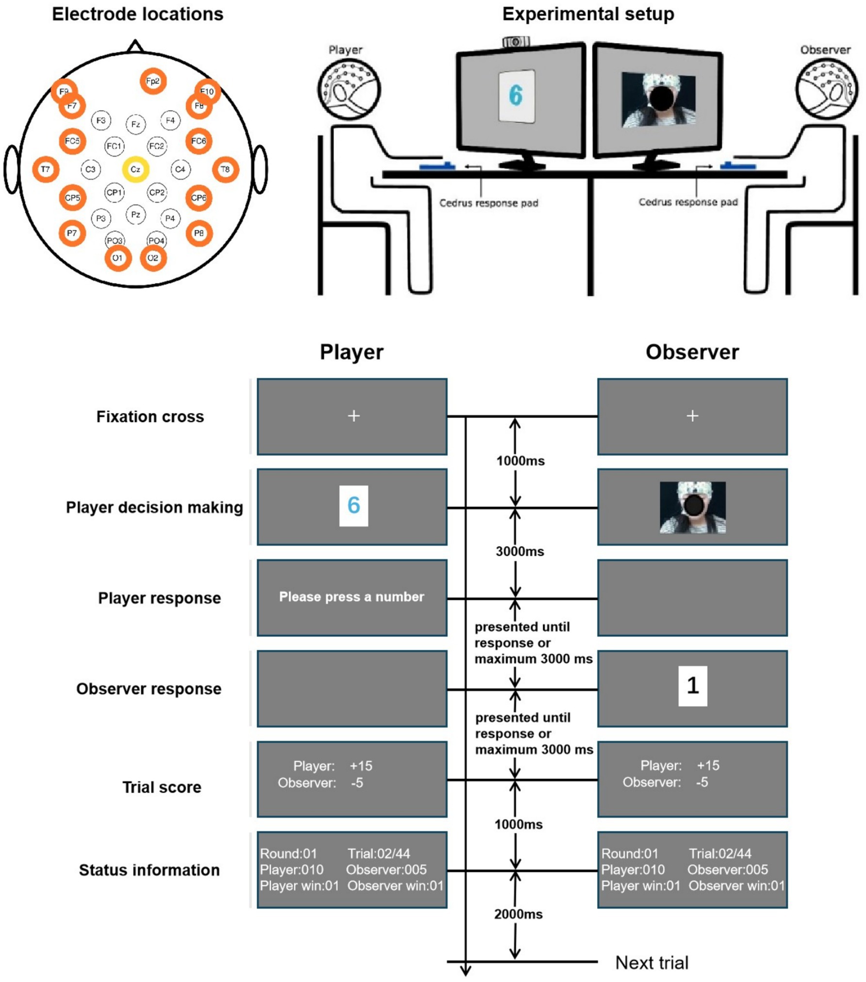 Diagram of an experimental setup for a decision-making task. On the left, a head diagram shows electrode locations for EEG. The center has a player and observer seated at computers with response pads. Below, a flowchart details the task sequence: fixation cross, player decision, player response, observer response, trial score, and status information. Timings are indicated alongside each step.