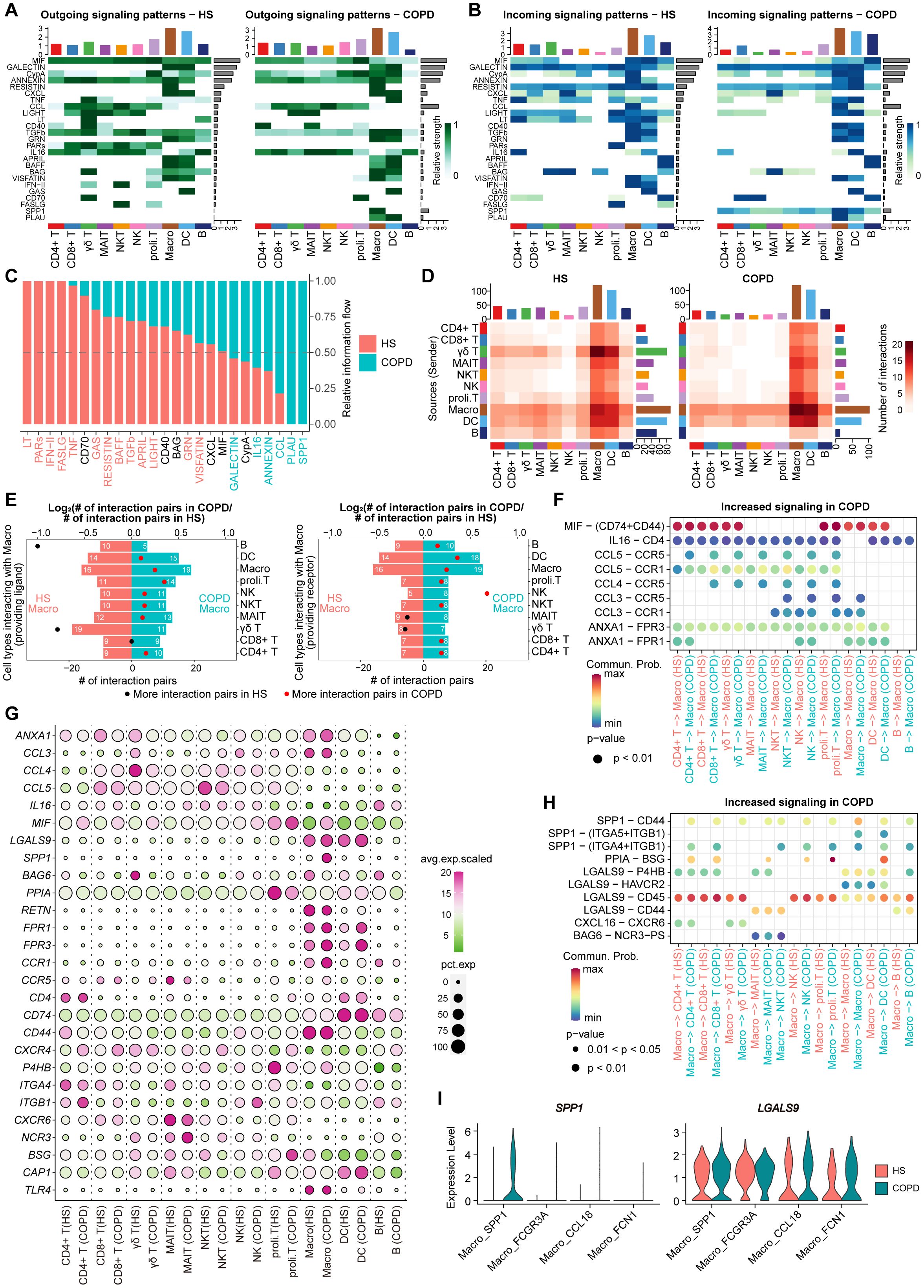Frontiers | Developmental immune network of airway