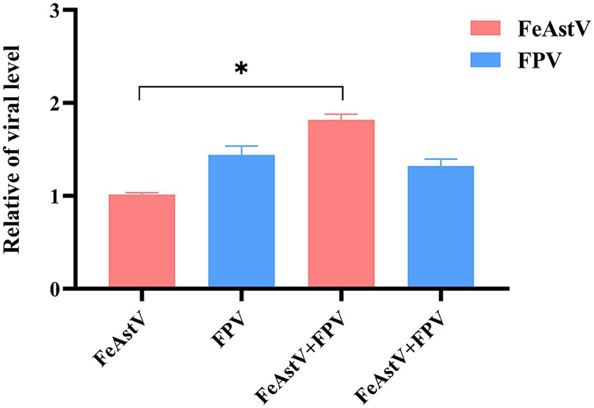 Bar chart showing relative viral levels for FeAstV and FPV. FeAstV is in red and FPV in blue. FeAstV and FPV individually have lower viral levels compared to their combination. Asterisk indicates statistical significance.