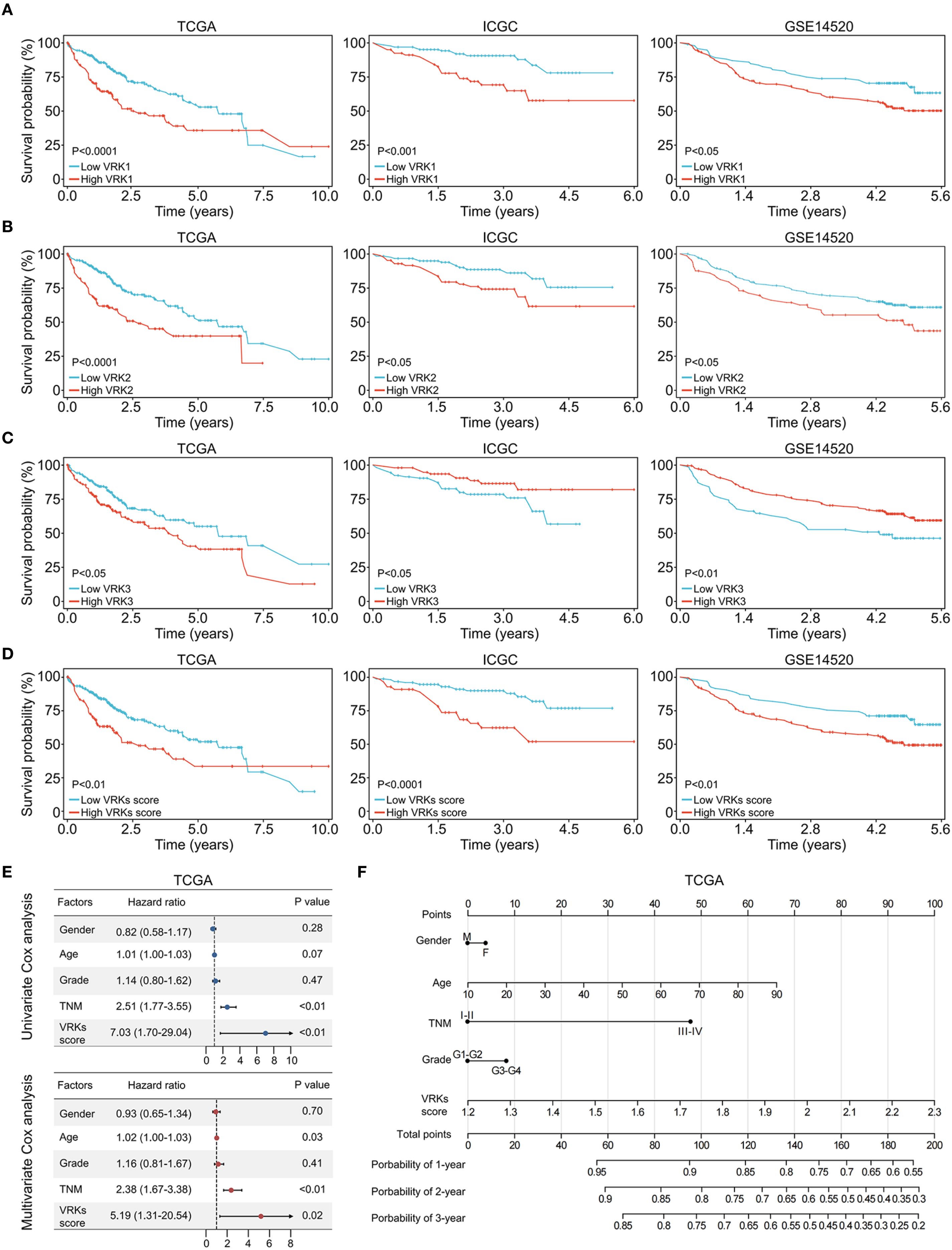 Multiple panels present survival analysis and statistical data. Panels A to D show Kaplan-Meier survival curves comparing high versus low VRK expression across different datasets (TCGA, ICGC, GSE14520) with p-values indicating significance. Panel E presents Cox regression analyses showing hazard ratios and p-values for various factors. Panel F illustrates a nomogram predicting one-, two-, and three-year survival probabilities based on select clinical factors, including gender, age, TNM stage, grade, and VRKs score.