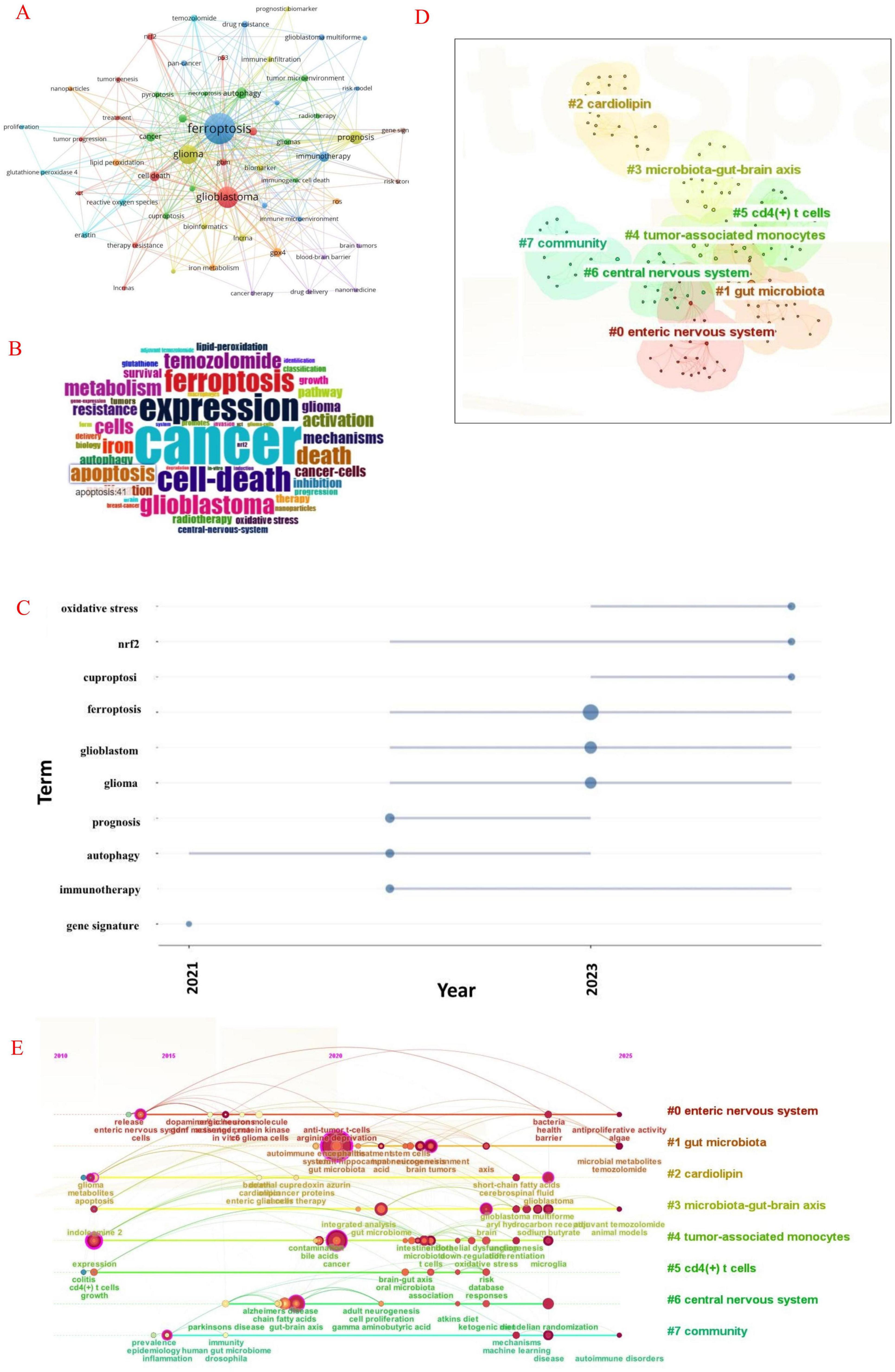 A collage of five visualizations: A) A network graph showing interconnected terms related to glioma and ferroptosis. B) A word cloud highlighting terms like ‘cancer’, ‘cell death’, and ‘glioblastoma’. C) A timeline chart from 2021 to 2023 showing the frequency of terms like ‘ferroptosis’ and ‘glioblastoma’. D) A cluster map with numbered groups labeled with topics like ‘microbiota-gut-brain axis’. E) A temporal network illustrating connections between phrases, marked by color-coded groups.