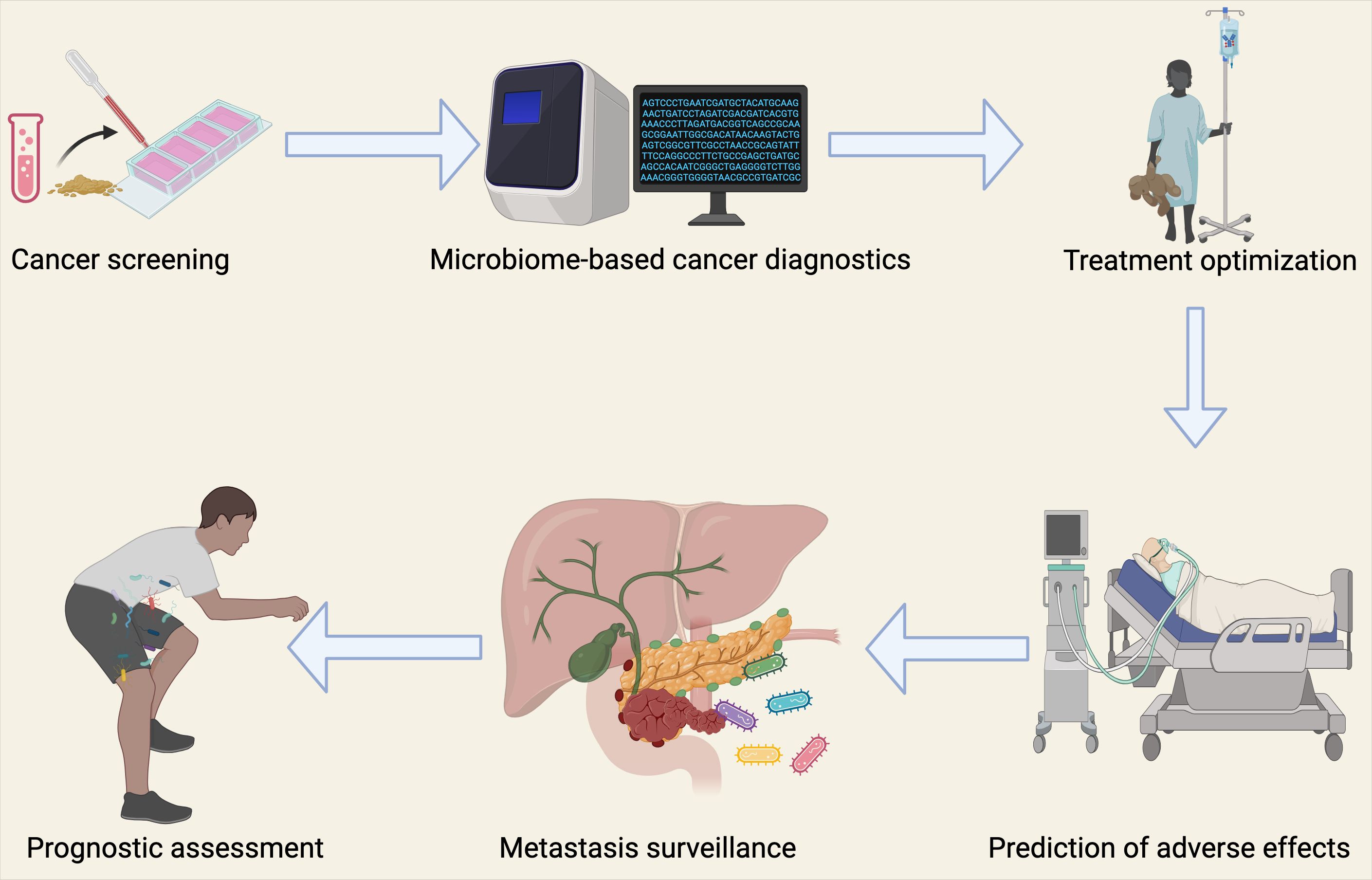 Illustrated diagram showing the role of microbiome-based cancer diagnostics in five stages: cancer screening, diagnostics, treatment optimization, prediction of adverse effects, and prognostic assessment. The process involves using a test tube sample, a diagnostic machine, and a computer. It includes a liver diagram with microbes for metastasis surveillance, a patient receiving treatment, and another patient in a hospital bed for assessing adverse effects. Arrows indicate the flow between stages.