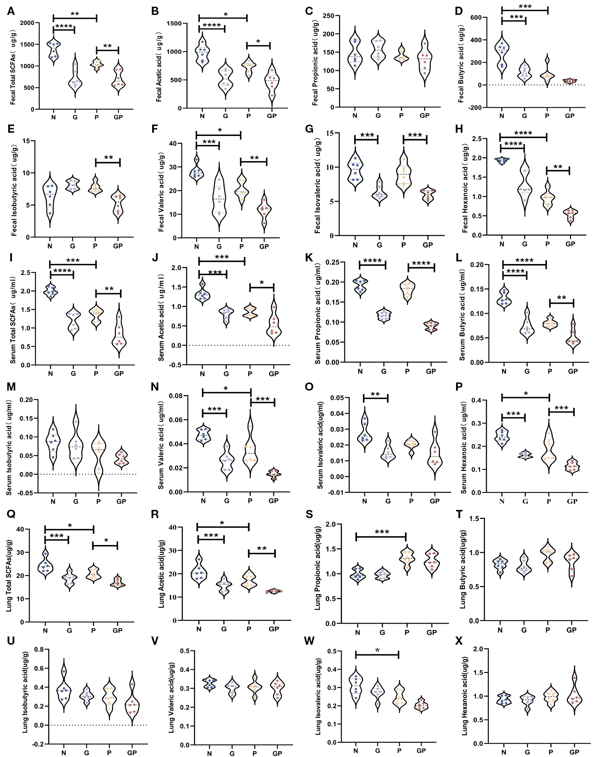 A series of violin plots labeled A to X representing concentrations of various fatty acids in fecal, serum, and lung samples across four groups: N, G, P, and GP. Each panel displays statistical significance, indicated by asterisks, with comparisons among groups. Panels include total short-chain fatty acids and specific acids like acetic, propionic, butyric, isobutyric, valeric, and hexanoic acids. Statistical significance levels are denoted by asterisks, with more asterisks indicating higher significance levels.
