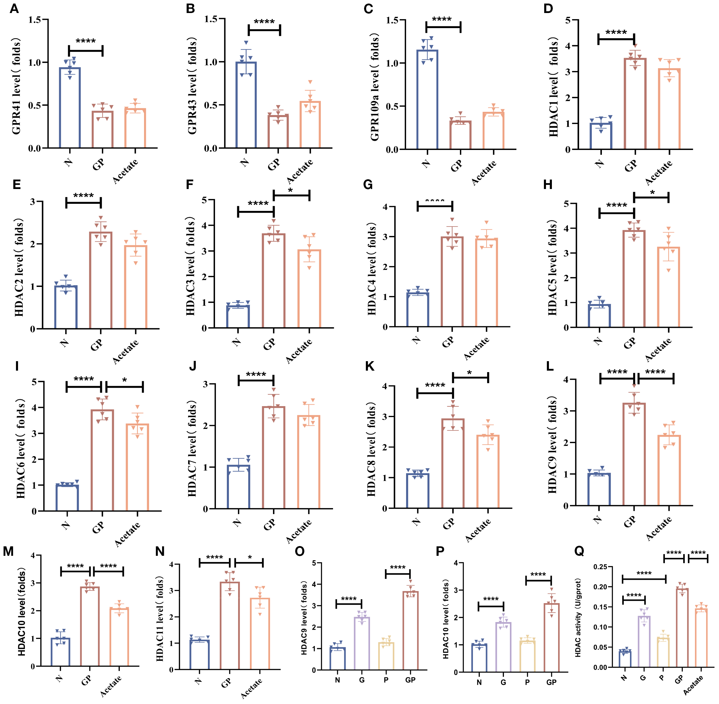 Bar graphs labeled A to Q show the levels of GPR41, GPR43, GPR109A, and various HDACs (1 to 11) across three groups: N, GP, and Acetate. Data indicates significant differences, marked by asterisks, with HDAC activity also shown in graph Q. Each graph visually indicates statistical significance between groups.