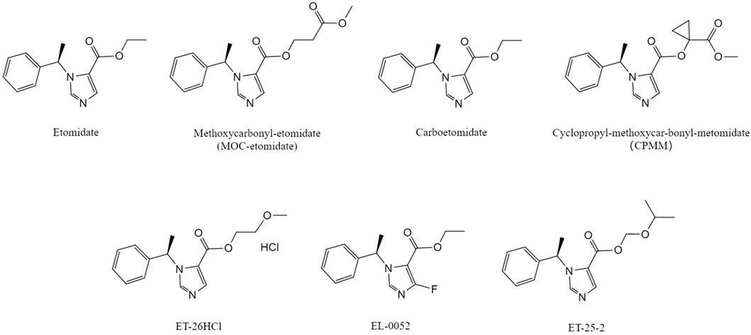 Chemical structures of six etomidate derivatives: etomidate, methoxycarbonyl-etomidate (MOC-etomidate), carboetomidate, cyclopropyl-methoxycarbonyl-metomidate (CPMM), ET-26HCl, EL-0052, and ET-25-2. Each structure displays molecular arrangements and functional groups with labeled names beneath them.