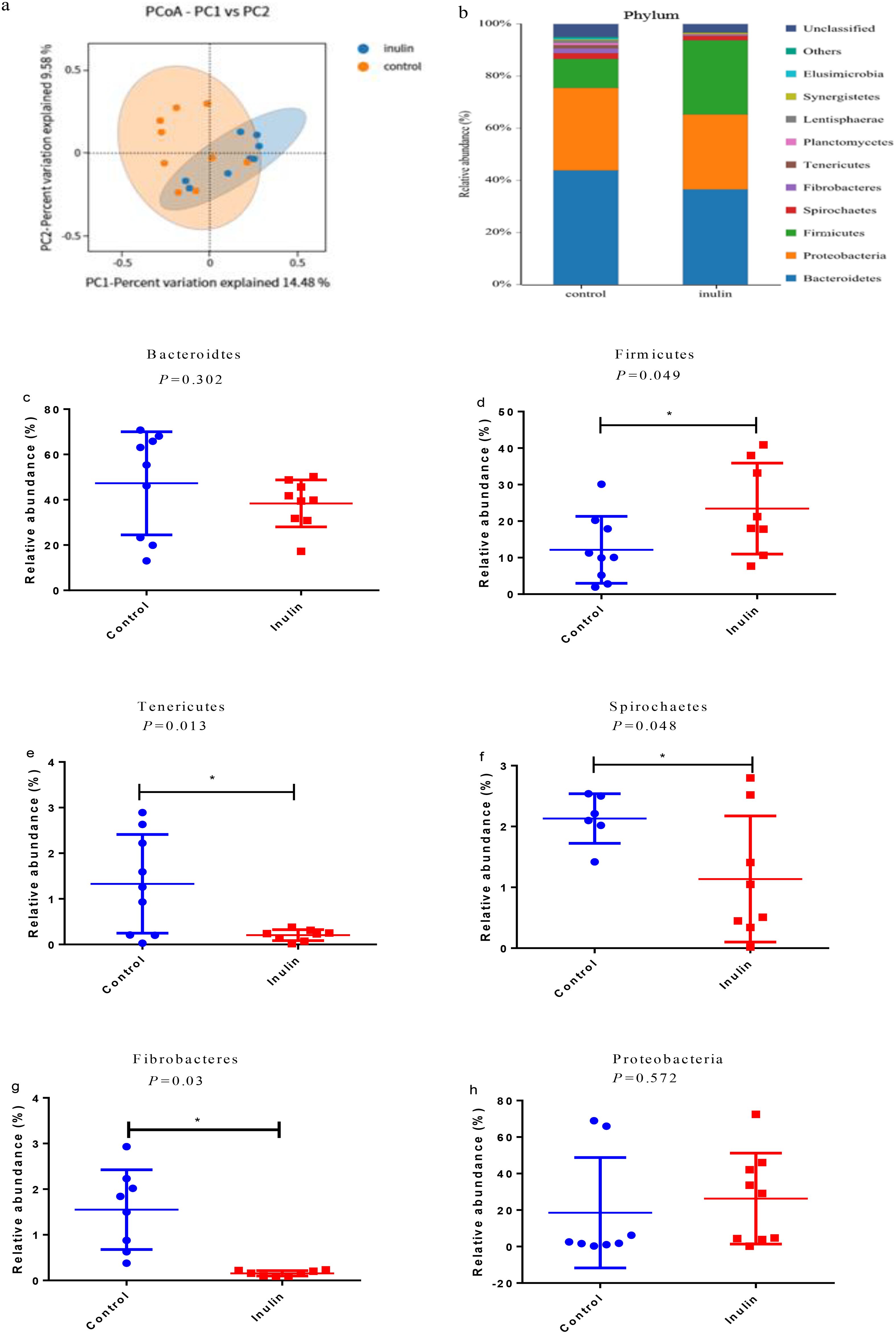 Principal coordinate analysis (PCoA) plot and stacked bar graph depict microbial community differences between inulin and control groups, illustrating PCoA dimensions and phylum composition. Scatter plots show relative abundance comparisons with statistical significance for Bacteroidetes, Firmicutes, Tenericutes, Spirochaetes, Fibrobacteres, and Proteobacteria, revealing significant differences in Firmicutes, Tenericutes, Spirochaetes, and Fibrobacteres, marked with asterisks.