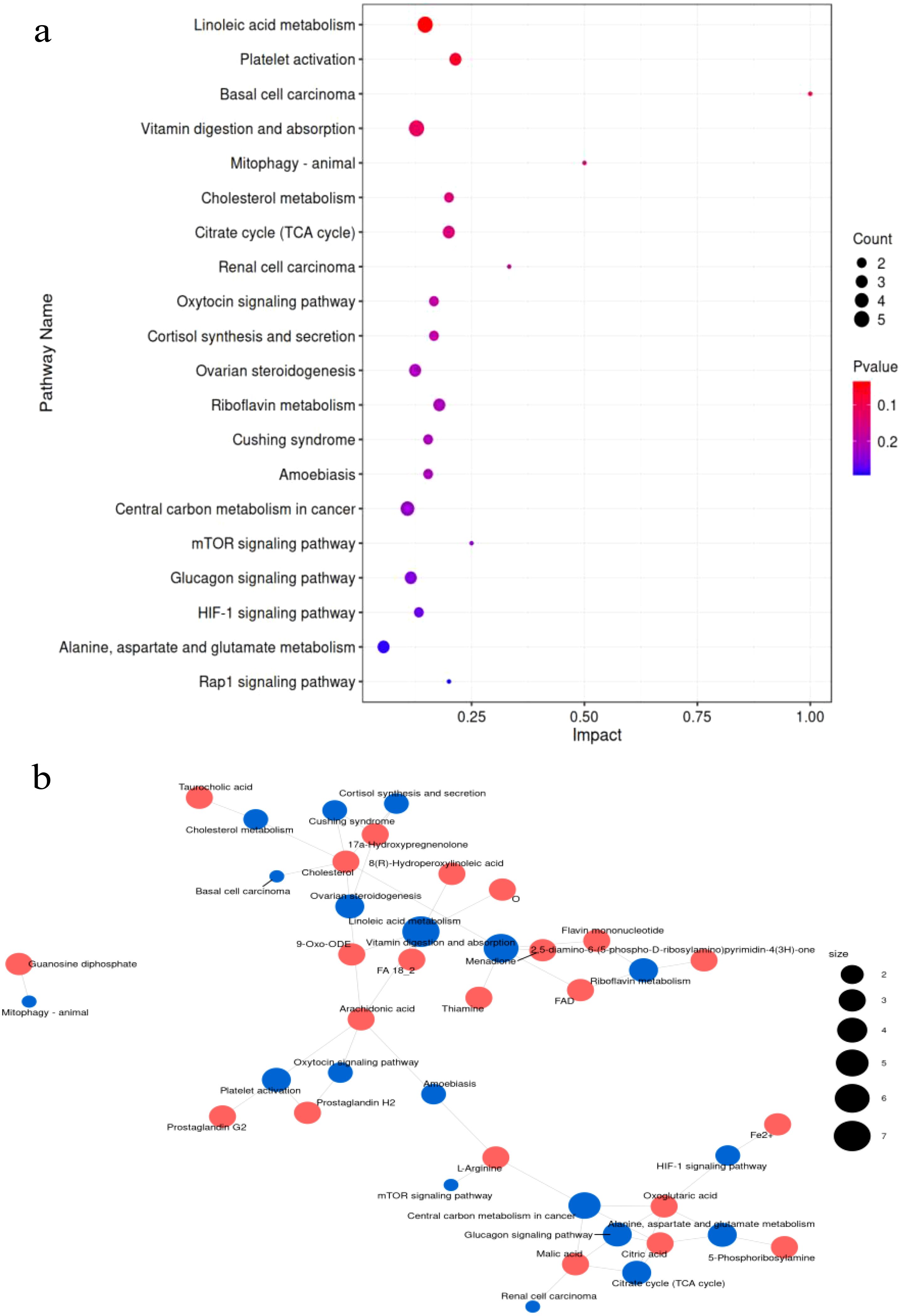 a) Dot plot displaying pathway impact versus significance, with colors representing p-values from 0.1 (red) to 0.2 (blue) and dot sizes indicating counts from 2 to 5, highlighting pathways like linoleic acid metabolism and platelet activation. b) Network diagram illustrating relationships between pathways and metabolites, with red and blue nodes signifying different functions and sizes reflecting count significance.