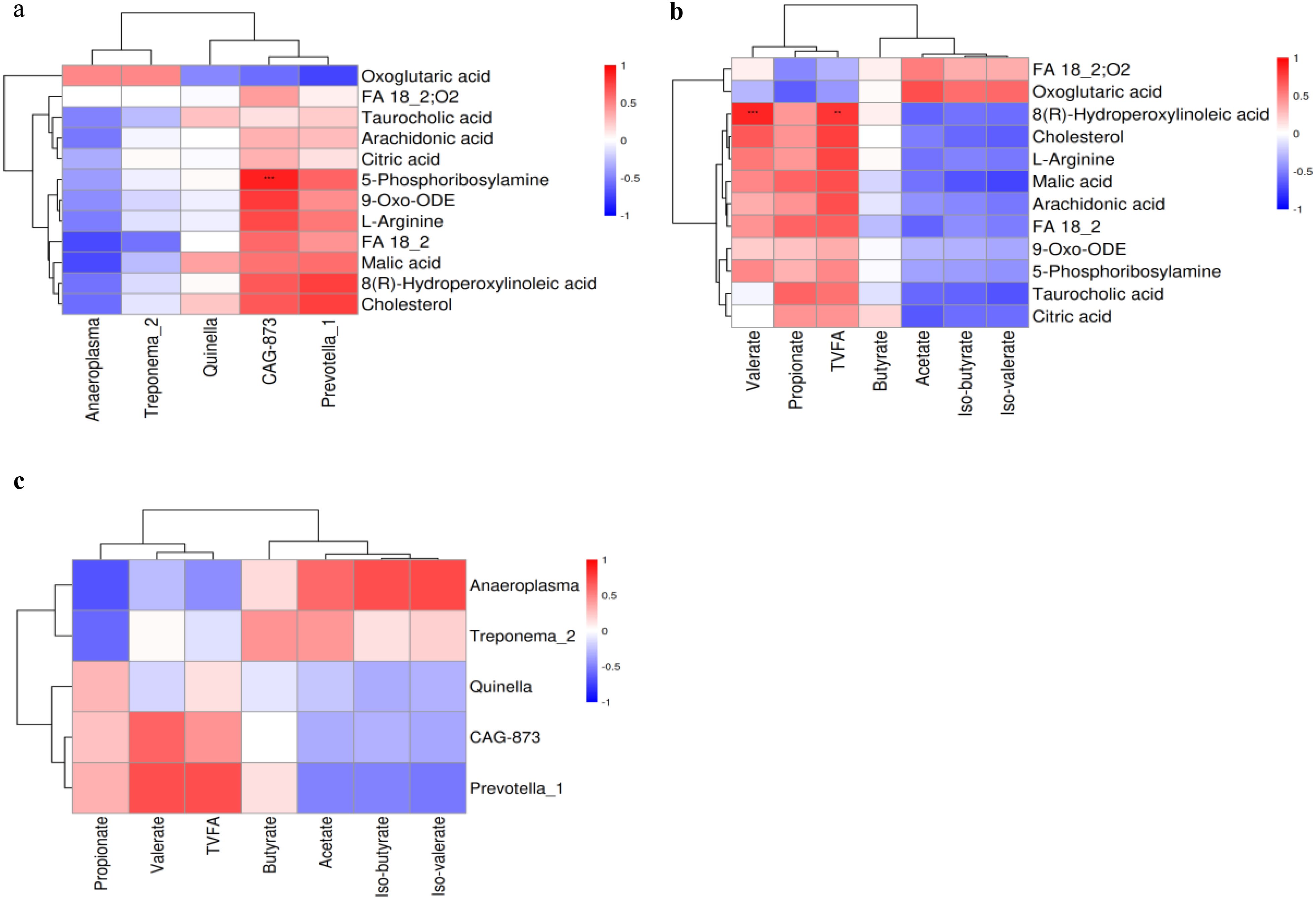 Three heatmaps labeled a, b, and c display various microbial interactions with compounds such as oxoglutaric acid, L-arginine, and cholesterol. The color gradient ranges from blue (negative correlation) to red (positive correlation), showing levels of interaction among different variables. Dendrograms on each heatmap indicate clustering patterns.