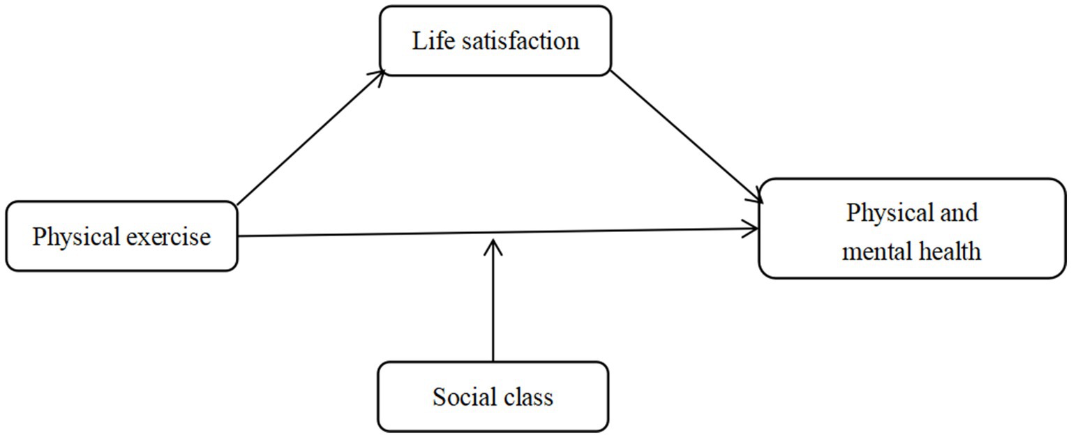 Flowchart showing the relationships between physical exercise, life satisfaction, social class, and physical and mental health. Arrows indicate physical exercise influences life satisfaction and directly impacts physical and mental health. Social class affects both physical and mental health.