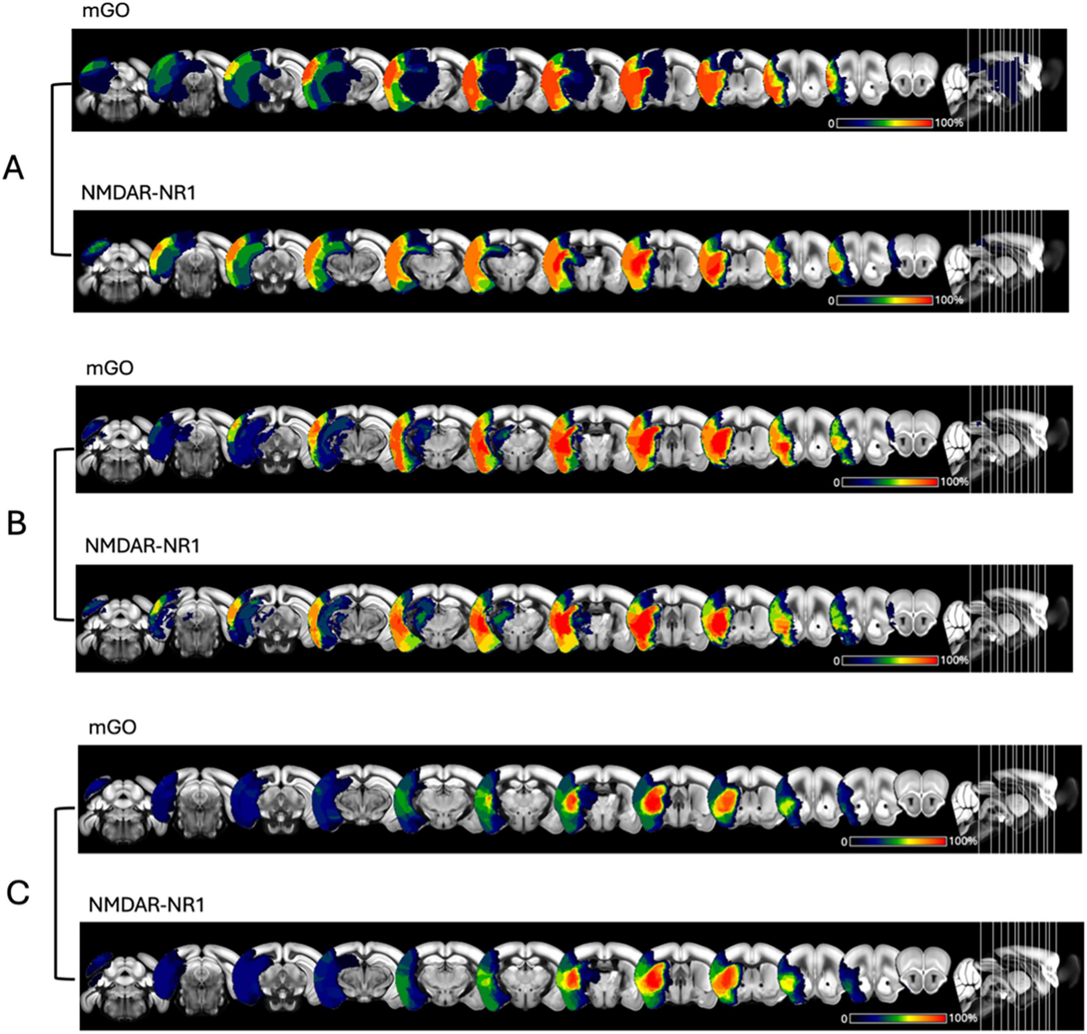 Bar graph comparing T2 edema-corrected lesion volume in cubic millimeters for different doses in milligrams per kilogram body weight. Two groups are shown: NMDAR-NR1-AB in purple and mGO-AB in blue. Sample sizes are indicated above each bar. Each bar includes scatter plots representing individual data points, with error bars showing variability.