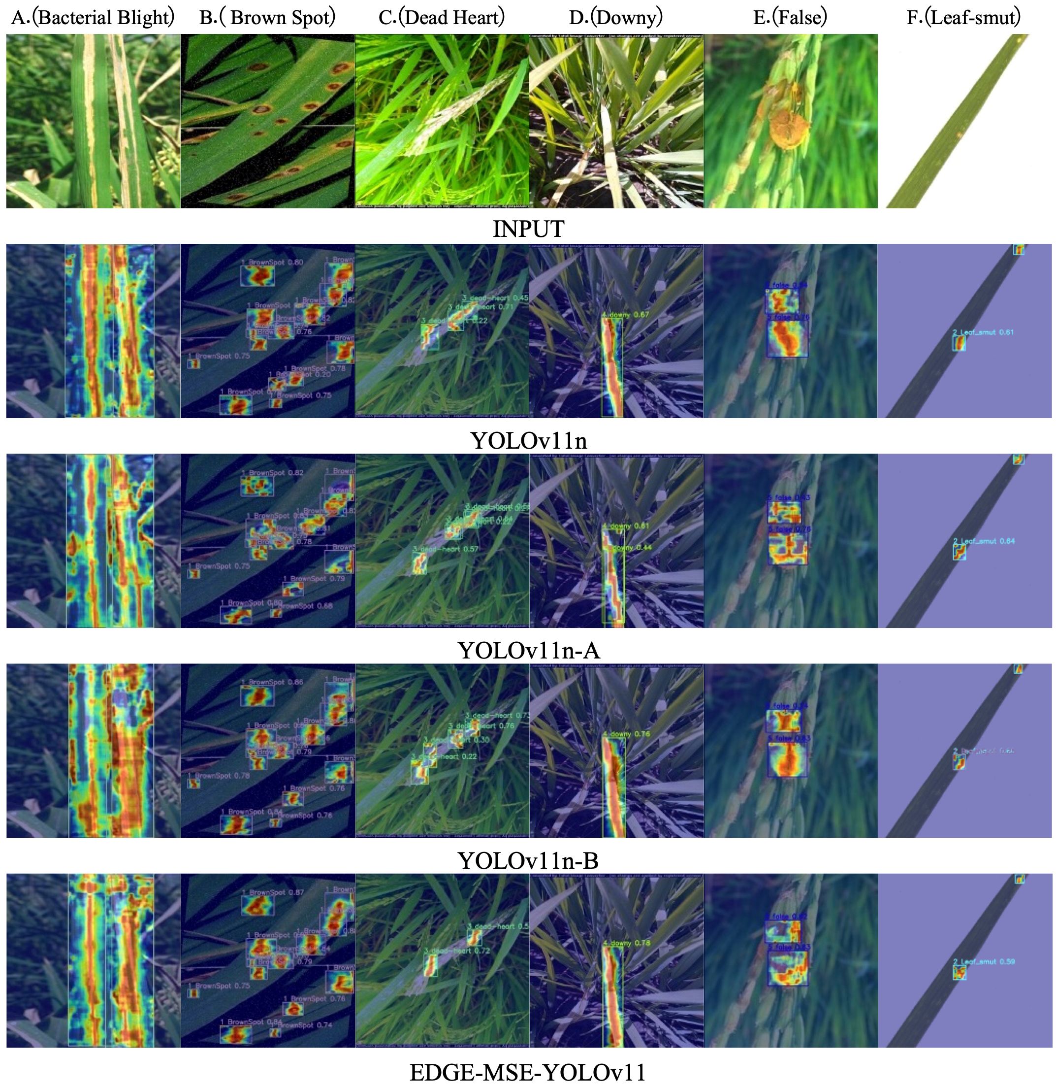 Six labeled images of rice plant diseases: A. Bacterial Blight, B. Brown Spot, C. Dead Heart, D. Downy, E. False, F. Leaf Smut. Below are five rows of detection results from different YOLO models (YOLOv1ln, YOLOv1ln-A, YOLOv1ln-B, EDGE-MSE-YOLOv11) and an input row. Detected areas are highlighted with bounding boxes and confounded heatmaps across different model rows. Each model exhibits varying detection performance.