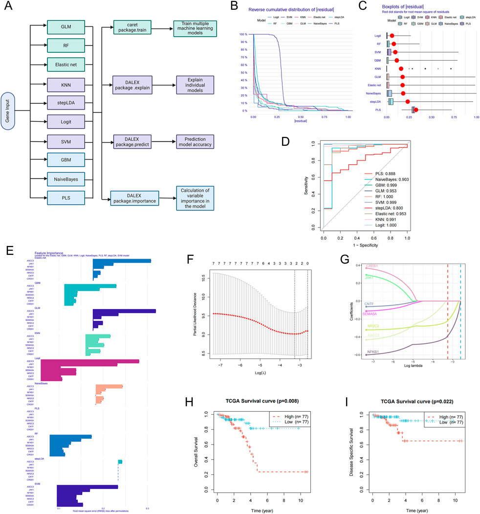 A diagram exhibits various stages of machine learning analysis: A) A flowchart detailing gene input into multiple models with training, explanation, accuracy, and importance steps. B) A reverse cumulative distribution plot of residuals across models. C) A boxplot comparing residuals for different models. D) A ROC curve displaying model performance. E) A bar graph showing feature importance. F) A plot showing cross-validation error against log lambda. G) A coefficient path plot highlighting model variables. H and I) Kaplan-Meier survival curves for two groups, indicating survival differences.