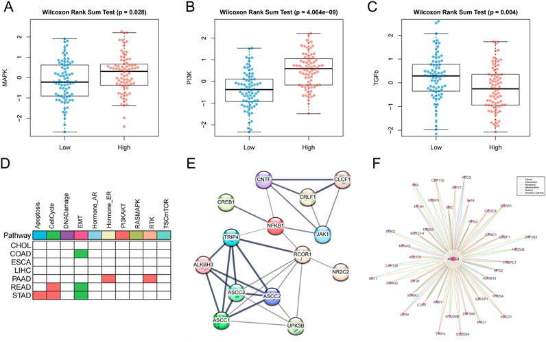Six-panel image displaying various biological data visualizations. Panels A, B, and C are box plots comparing