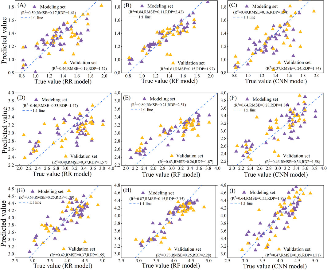 Scatter plots show predicted versus true values for different models: RR, RF, and CNN. Each model has three plots comparing modeling and validation sets, with a 1:1 reference line. Plots display R², RMSE, and RDP values for both sets, with modeling data as purple triangles and validation data as orange triangles. Predicted values are on the y-axis and true values on the x-axis.