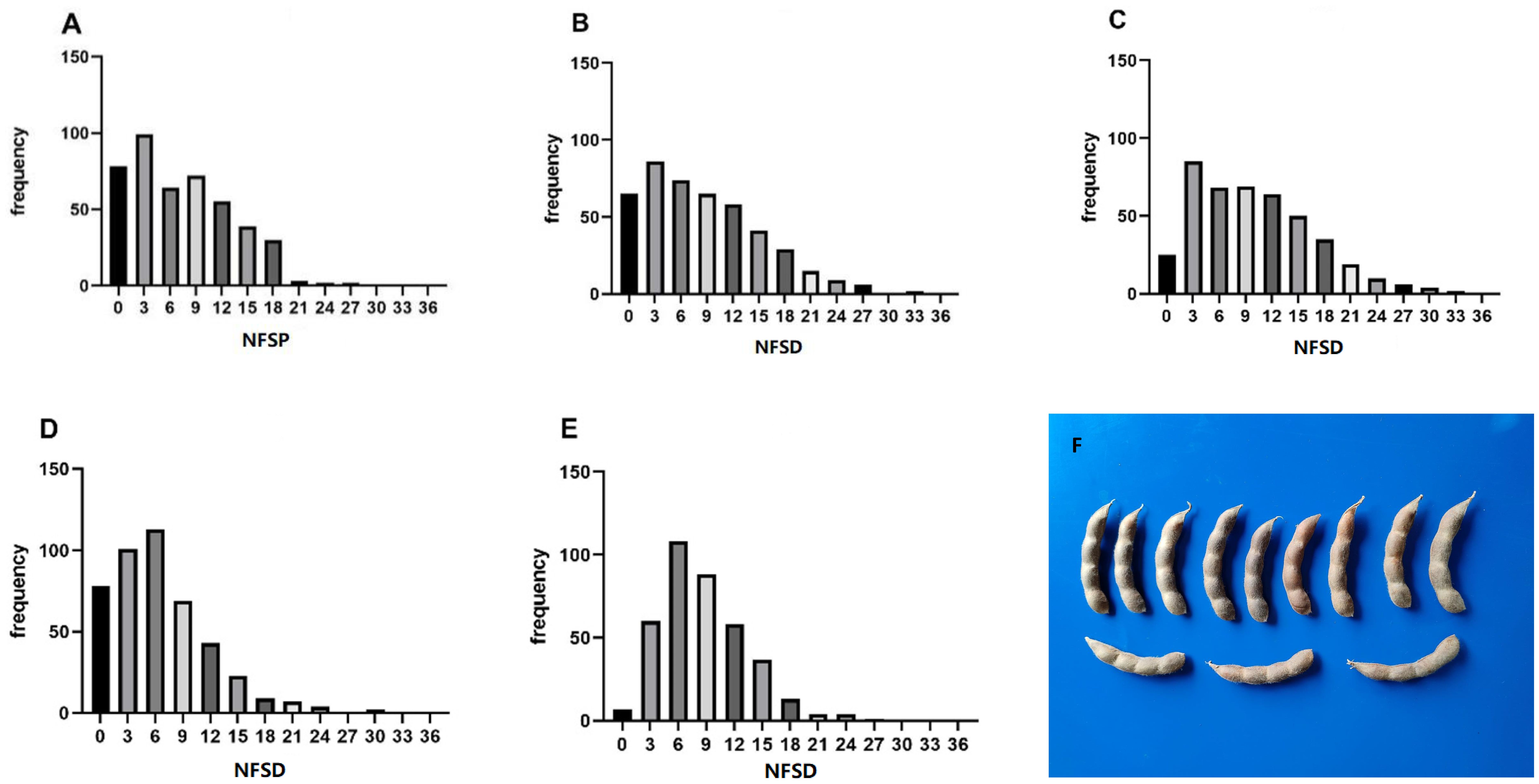 Bar charts labeled A to E display frequency distributions of NFSP, showing decreasing trends. Chart F depicts twelve tamarind pods on a blue background.