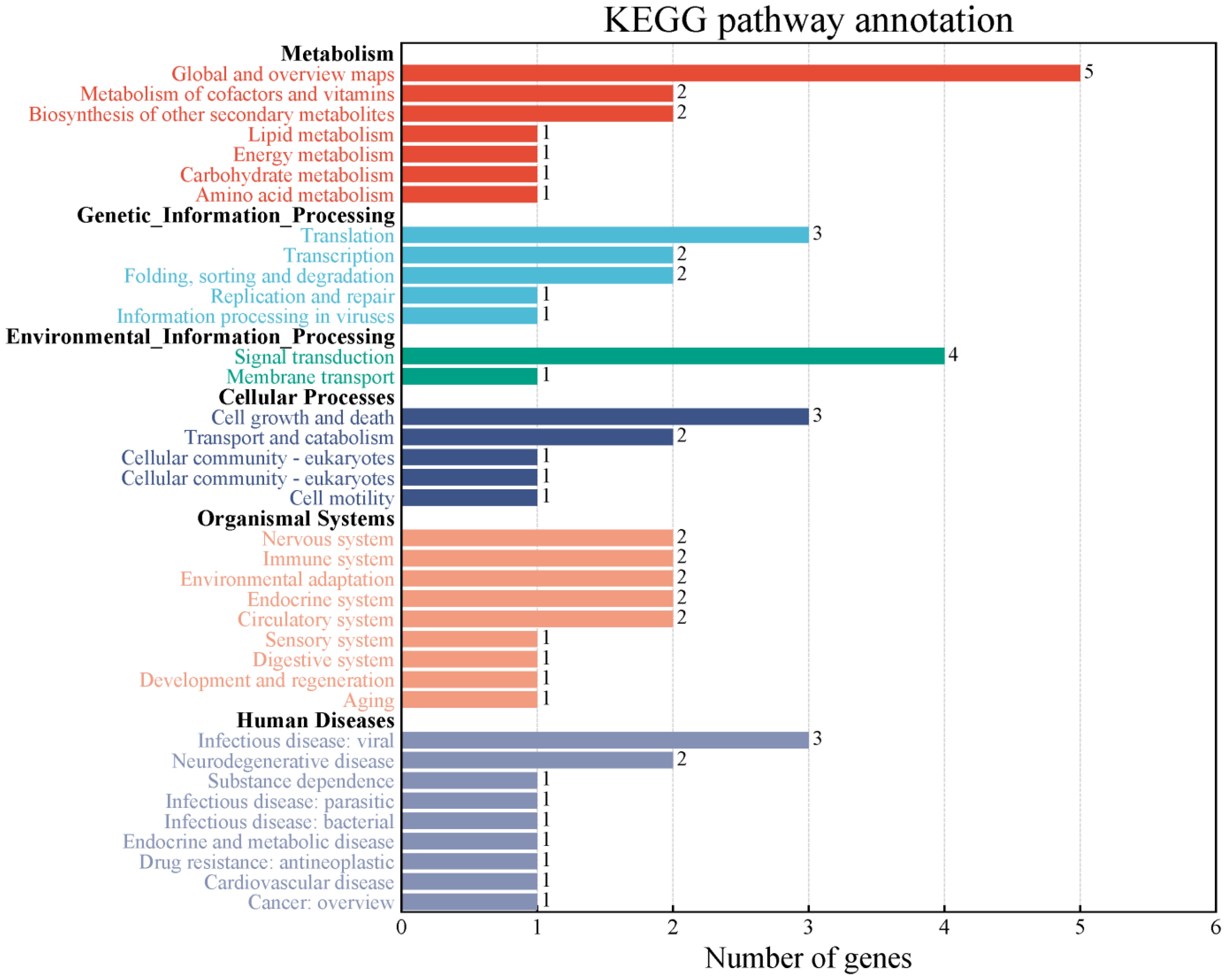 Bar chart titled “KEGG pathway annotation” depicting the number of genes associated with various biological processes. Categories include Metabolism, Genetic Information Processing, Environmental Information Processing, Cellular Processes, Organismal Systems, and Human Diseases. Each category displays subcategories with gene counts ranging from one to five. Metabolism, Environmental Information Processing, and Human Diseases show higher gene numbers, particularly in Global and overview maps, Signal transduction, and Cell growth and death. The x-axis represents the number of genes, and the y-axis lists the pathway categories.