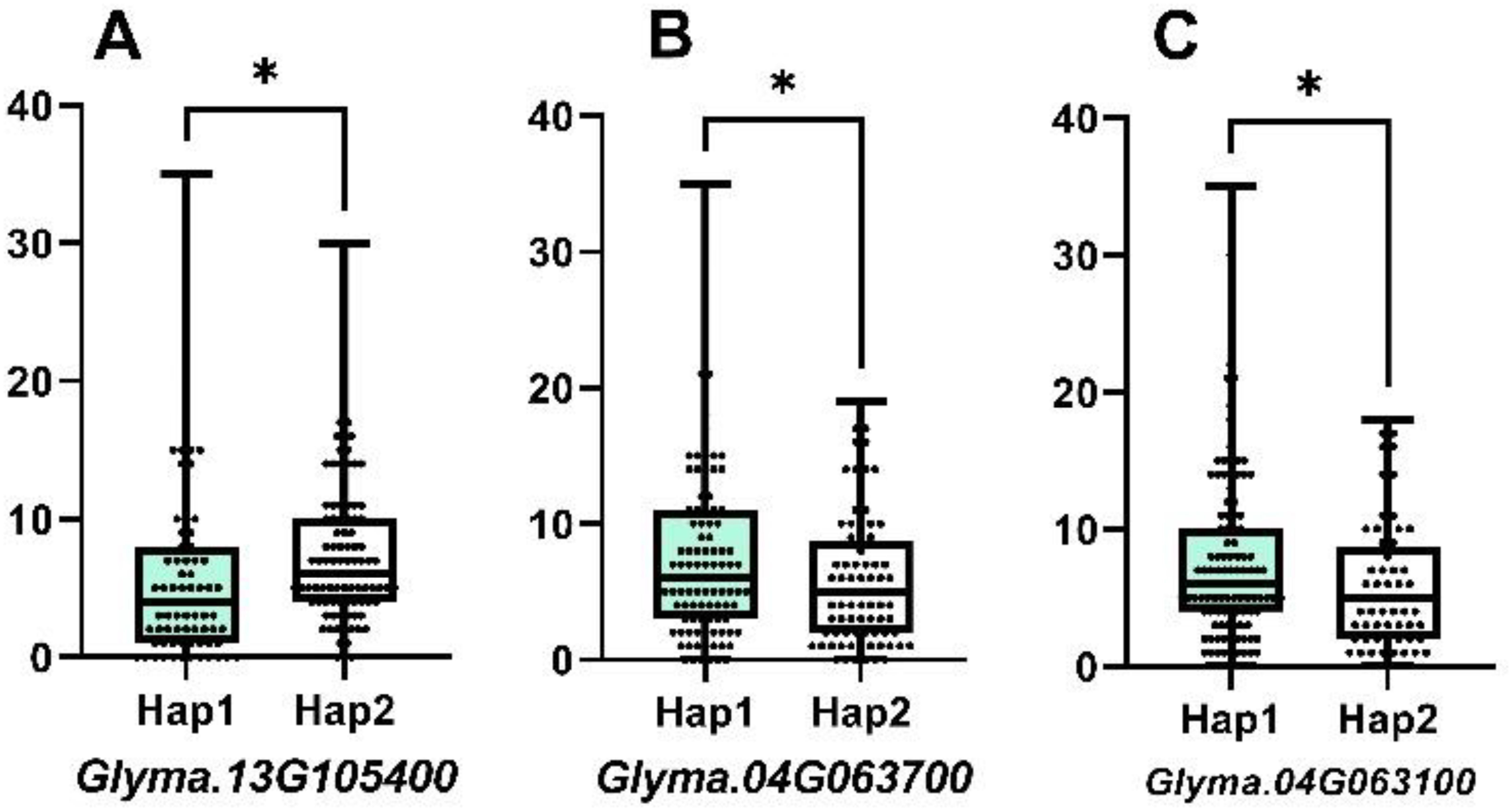 Boxplots labeled A, B, and C compare Hap1 and Hap2 for different Glyma genes. Each plot shows a significant difference, marked by an asterisk. The data range is from 0 to 40.