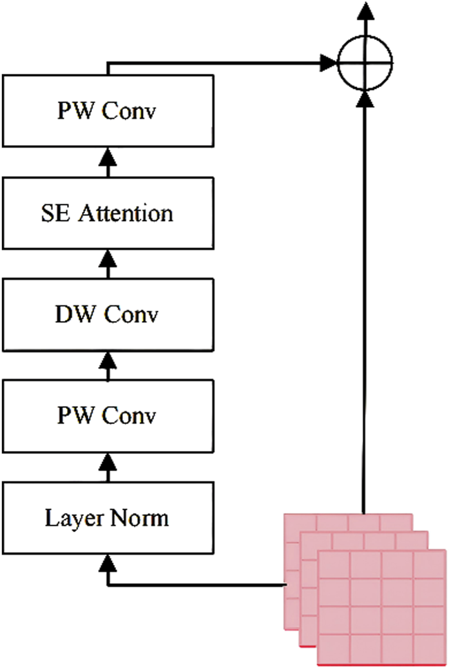 Flowchart illustrating a neural network architecture. From bottom to top: Layer Normalization, Pointwise Convolution (PW Conv), Depthwise Convolution (DW Conv), Squeeze-and-Excitation Attention (SE Attention), another PW Conv, followed by a summation operation indicated by a circle with a plus sign. Arrows show the flow direction.