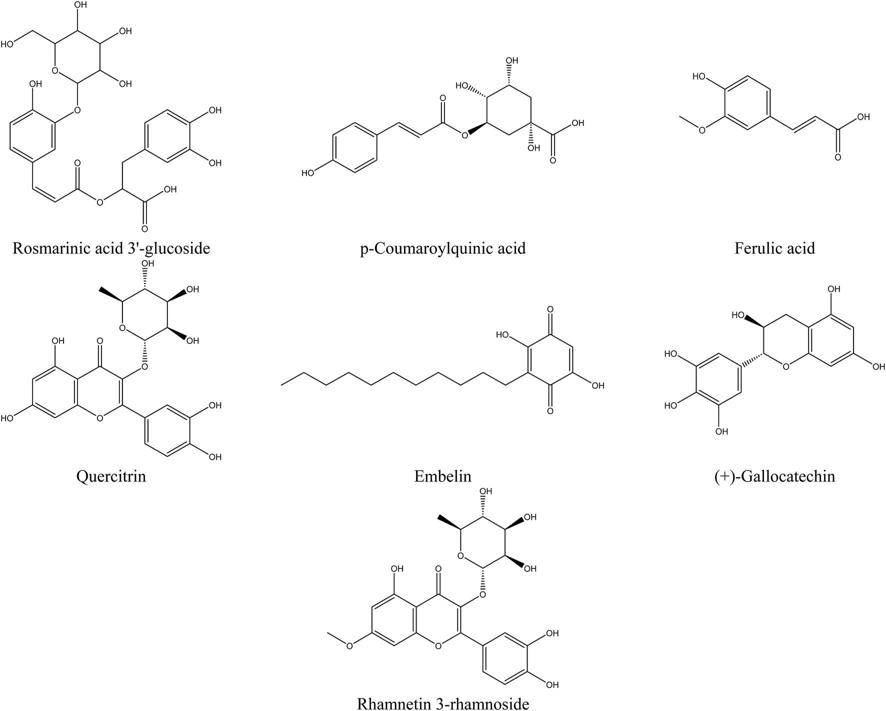 Chemical structure diagrams for seven compounds: Rosmarinic acid 3'-glucoside, p-Coumaroylquinic acid, Ferulic acid, Quercitrin, Embelin, (+)-Gallocatechin, and Rhamnetin 3-rhamnoside. Each structure displays molecular arrangements and bonds.