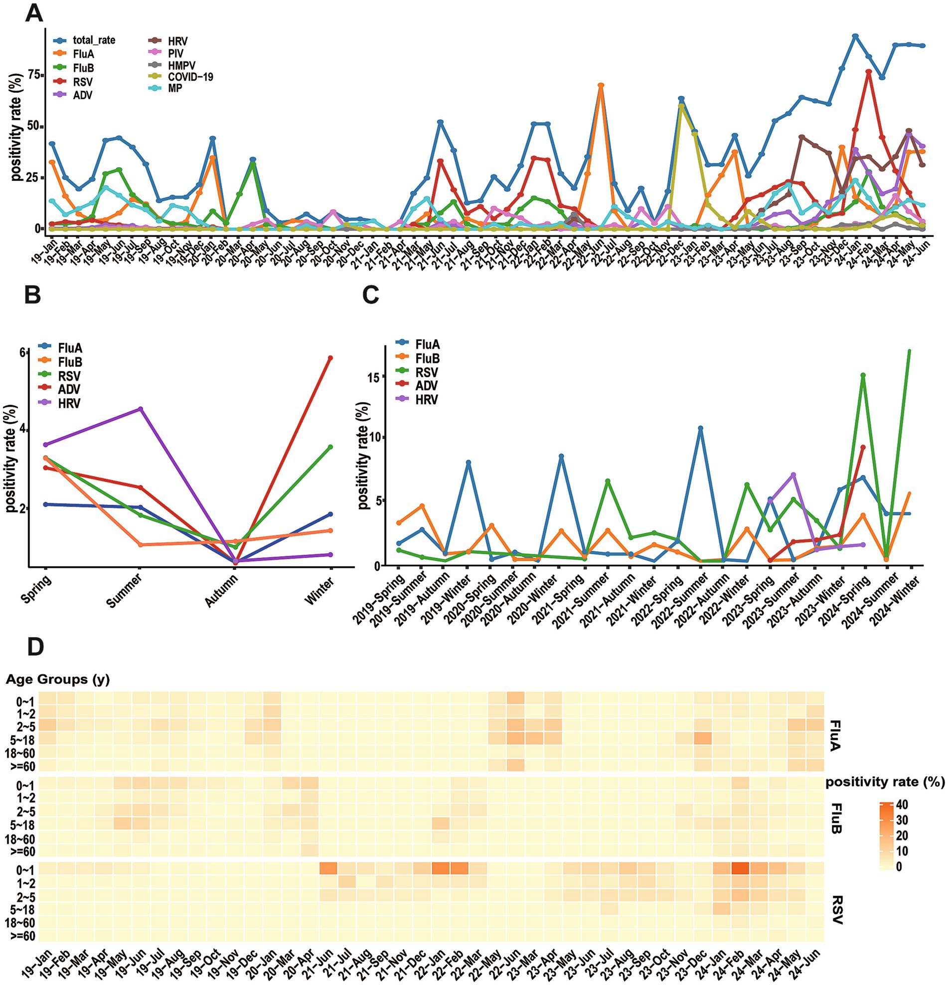 Seasonal distribution (months) of different respiratory viruses. Panel A shows time series data of various viruses from 2019 to 2023, including COVID-19. Panel B depicts seasonal positivity rates for several viruses, highlighting fluctuations through spring to winter. Panel C presents different virus positivity rates by season from spring 2019 to 2024. Panel D is a heat map illustrating positivity rates by age group from January 2019 to June 2024, focusing on FluA, FluB, and RSV, with color intensity indicates higher positivity rates.