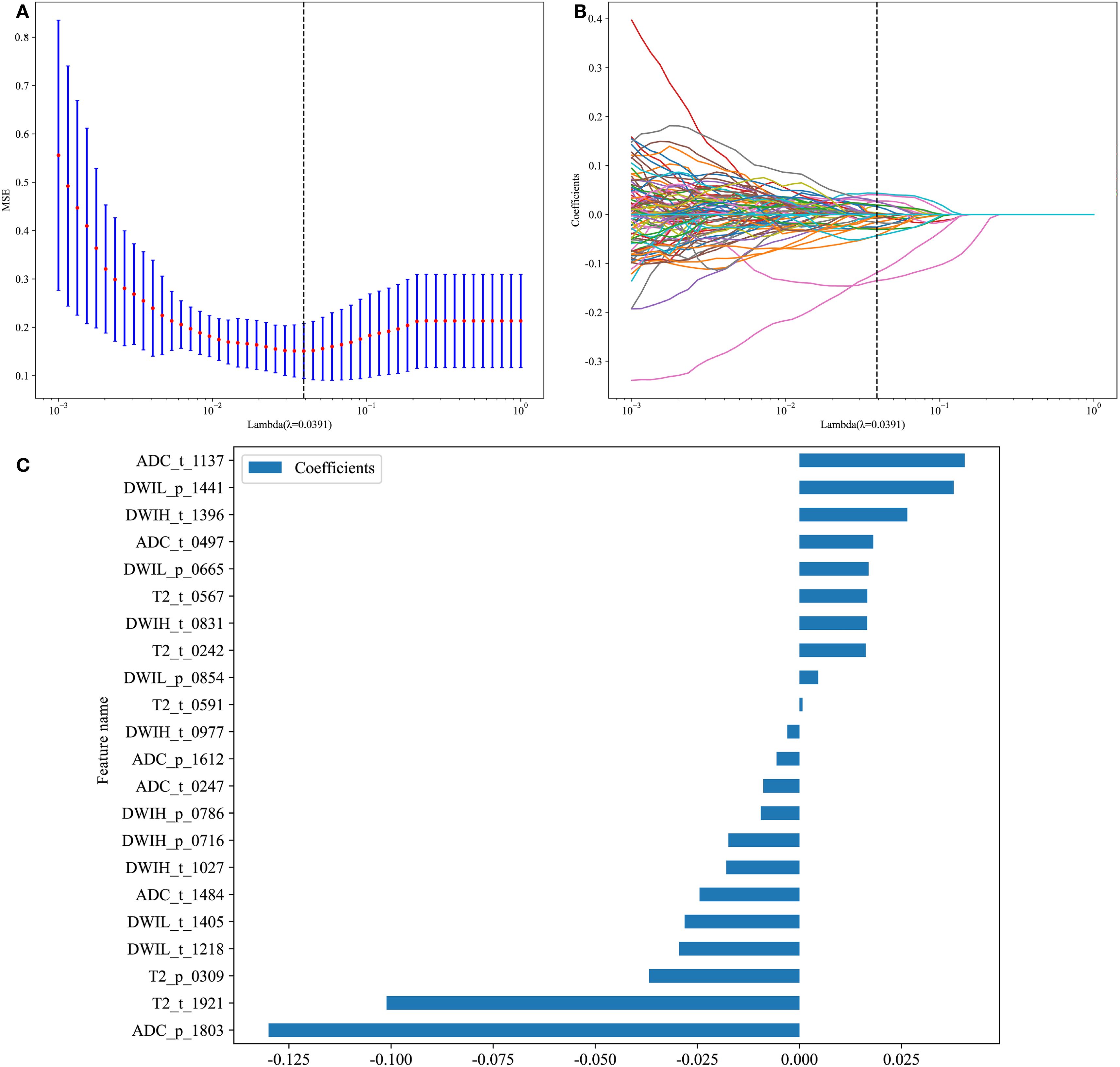 Three-panel image: A. A line graph showing Mean Squared Error (MSE) vs. Lambda, indicating error minimization at log(Lambda)=-0.0391 with a U-shaped curve and error bars. B. A line graph displaying coefficients vs. Lambda. Coefficients converge to zero as Lambda increases, with a vertical line at log(Lambda)=-0.0391. C. Bar chart showing feature names with corresponding coefficients. Features range from positive to negative coefficients, with ADC_p_1803 having the highest positive and ADC_t_1137 the highest negative impact.