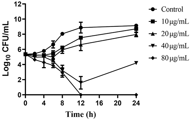 Line graph showing the growth of a bacterial culture over 24 hours, measured in Log10 CFU/mL. The control group maintains higher CFU levels, while concentrations of 10, 20, 40, and 80 μg/mL show varying degrees of bacterial reduction, with the greatest decrease observed in higher concentrations over time.