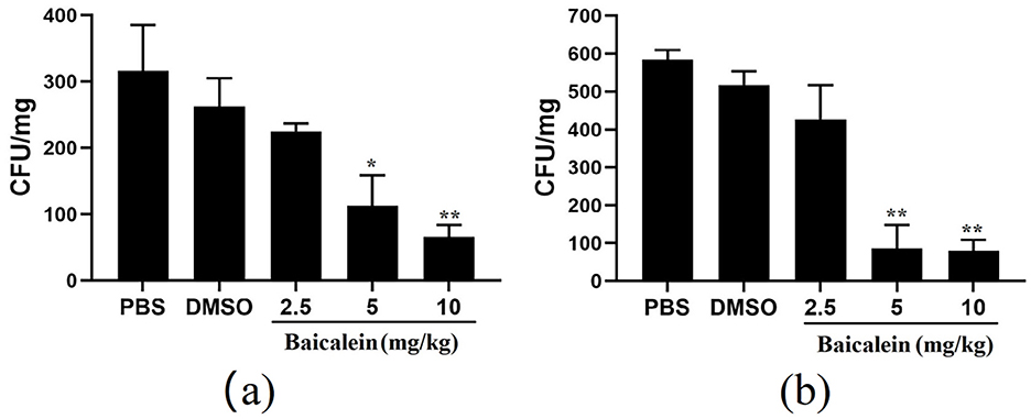 Bar graphs illustrating the effect of Baicalein on CFU/mg. Graph (a) shows a reduction in CFU with increased Baicalein concentration, from 2.5 to 10 mg/kg, compared to PBS and DMSO controls. Graph (b) displays a similar pattern with higher initial CFU levels for the controls. Annotations with asterisks indicate statistical significance.