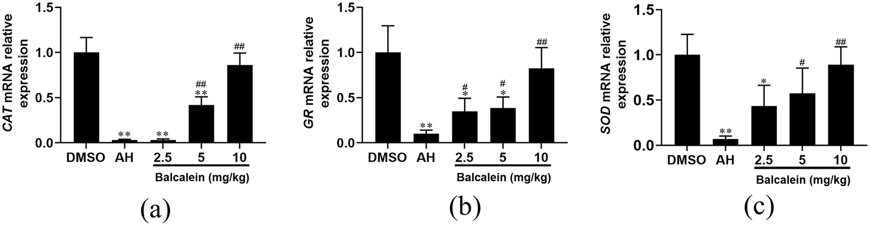 Bar graphs showing the relative expression of mRNA for CAT (a), GR (b), and SOD (c) compared to DMSO, AH, and varying doses of Baicalein at 2.5, 5, and 10 mg/kg. Baicalein significantly increases mRNA expression at higher doses compared to AH. Statistical significance is indicated by asterisks and hashes.
