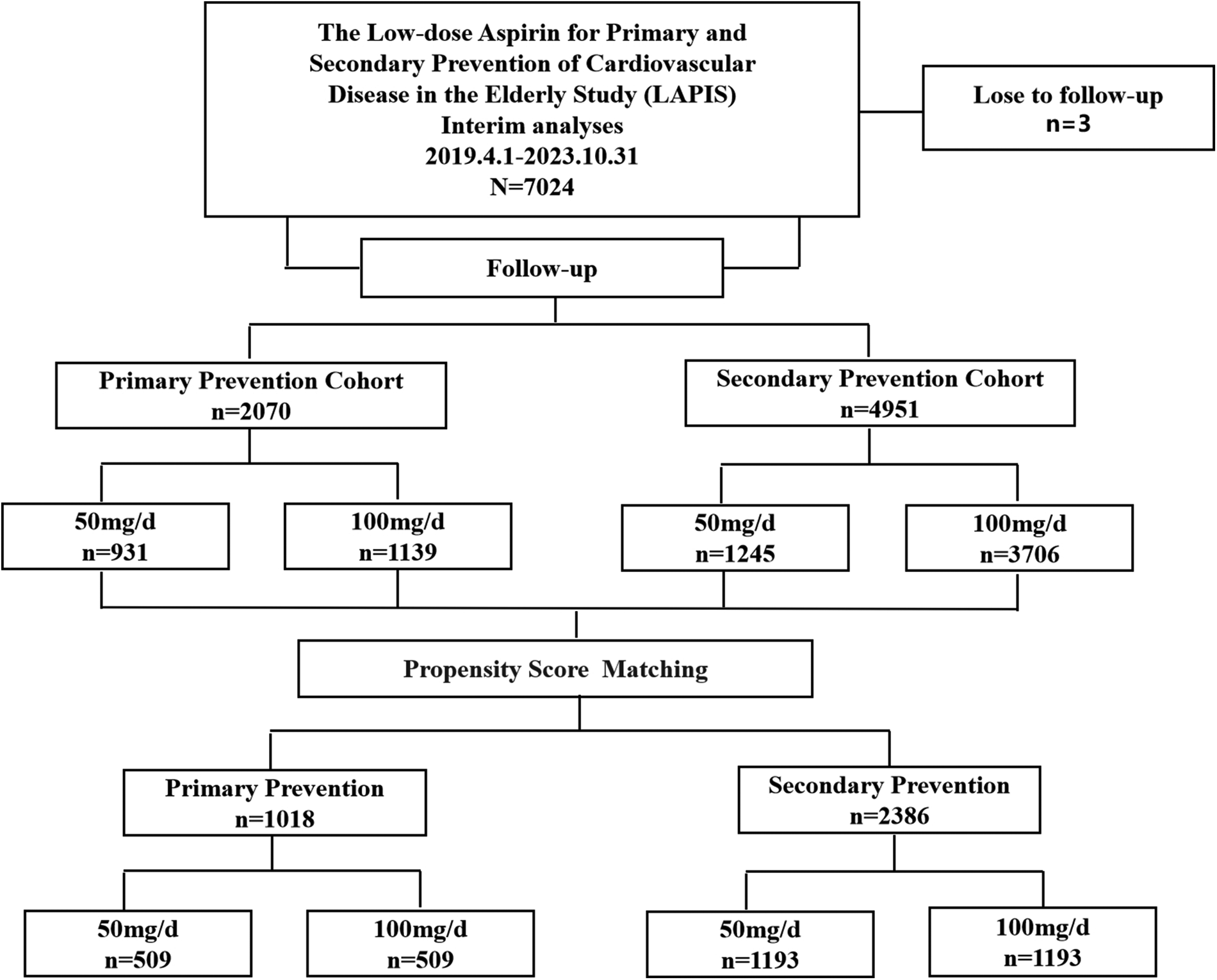 Flowchart detailing the interim analysis of the Low-dose Aspirin for Primary and Secondary Prevention of Cardiovascular Disease in the Elderly Study, from April 1, 2019, to October 31, 2023, with 7,024 participants. Three participants were lost to follow-up. Divided into primary (2,070 individuals) and secondary (4,951 individuals) prevention cohorts, both groups were split into 50 mg and 100 mg daily aspirin doses. Propensity score matching resulted in 1,018 primary and 2,386 secondary prevention participants, each with 50 mg and 100 mg subgroups.