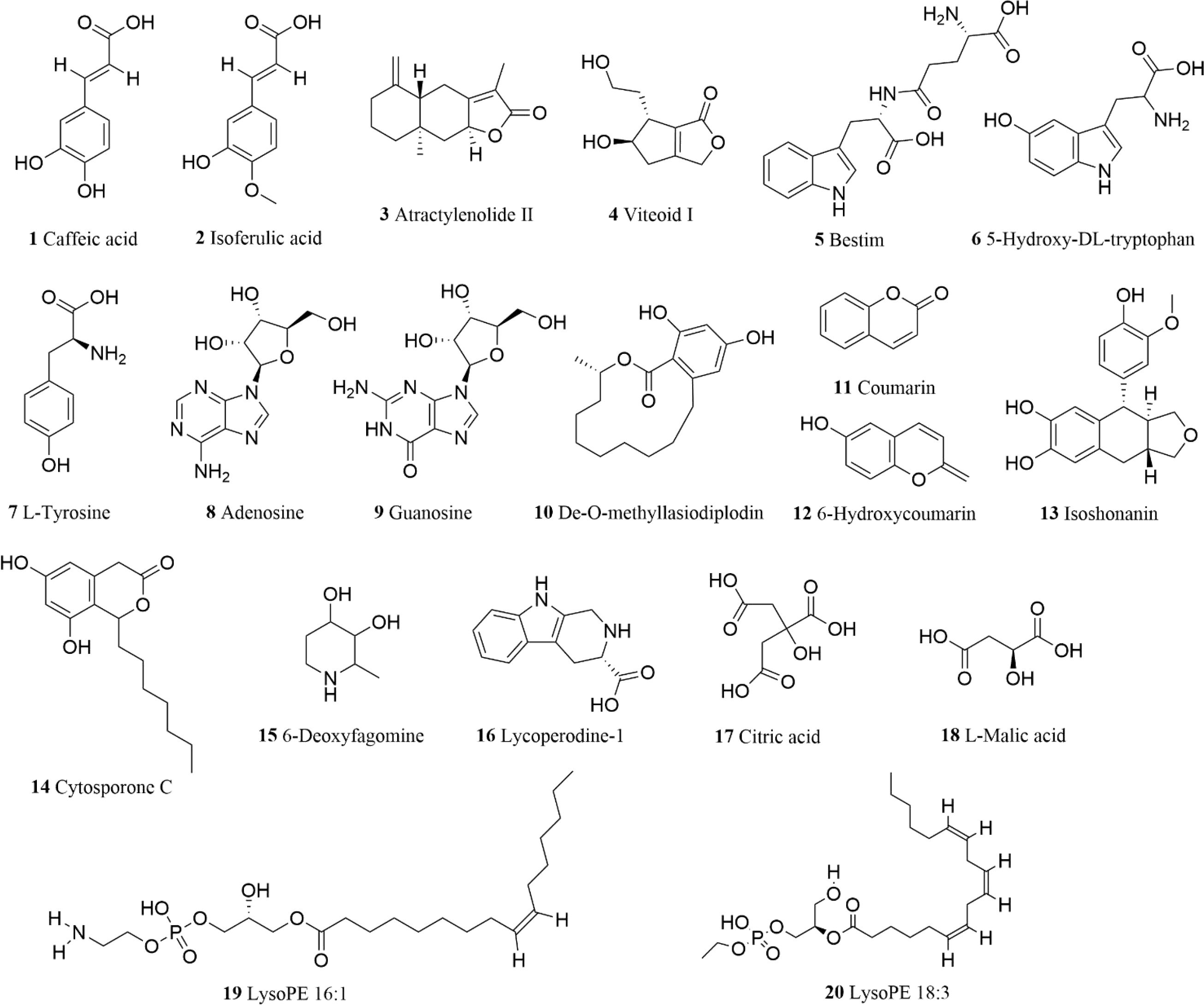 Chemical structures of twenty compounds, each labeled with their names. Compounds include Caffeic acid, Isoferulic acid, Atractylenolide II, Viteoid I, Bestim, 5-Hydroxy-DL-tryptophan, L-Tyrosine, Adenosine, Guanosine, De-O-methylisodiplodin, Coumarin, 6-Hydroxycoumarin, Isohonanin, Cytosporone C, 6-Deoxyfagomine, Lycoperdine-1, Citric acid, L-Malic acid, LysoPE 16:1, and LysoPE 18:3. Each structure is depicted with molecular formulas showing bonds, atoms, and functional groups.