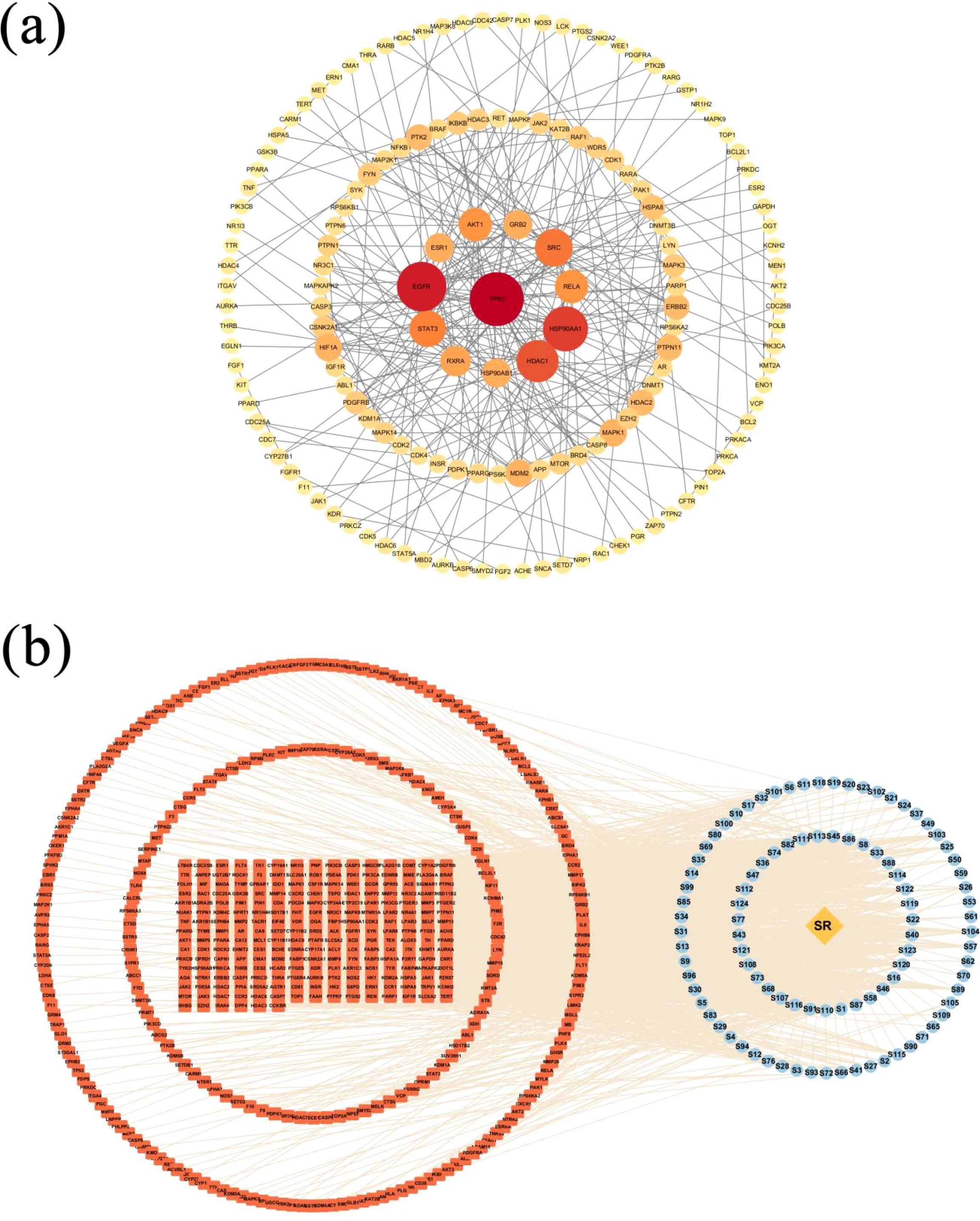 Graph (a) is a network diagram with nodes connected by lines, displaying a central cluster of red nodes surrounded by orange and yellow nodes. Graph (b) shows two large concentric circles of red nodes on the left, connected by lines to blue nodes arranged in smaller concentric circles on the right, with a central diamond-shaped yellow node labeled “SR.