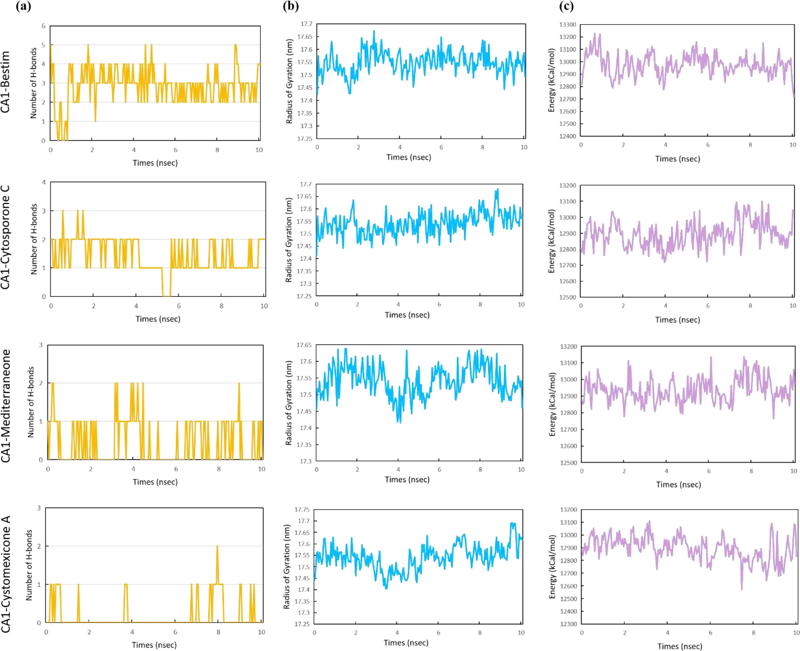 Three sets of line graphs show data over 10 nanoseconds for different compounds. Panel (a) depicts the number of hydrogen bonds, panel (b) shows the radius of gyration in nanometers, and panel (c) illustrates energy in kilocalories per mole. Each row corresponds to a different compound: Bestim, Cytosporone C, Mediterranone, and Cystomexicone A.