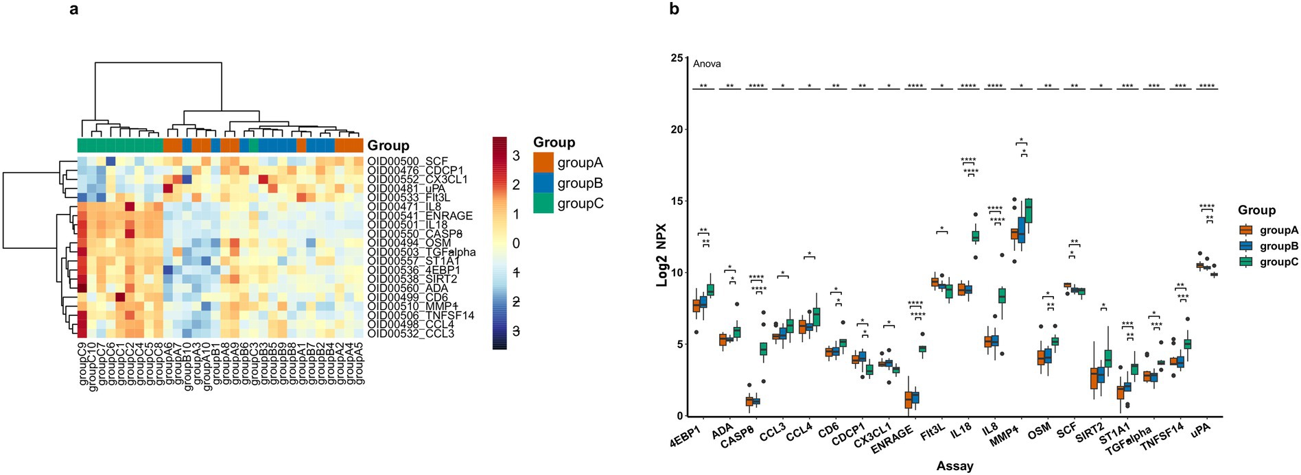 Panel a shows a heatmap with hierarchical clustering of different groups (A, B, and C) based on expression levels of various proteins, indicated by color intensity from blue to red. Panel b displays a box plot comparing Log2 NPX values for different assays across the same groups, with statistical significance denoted by asterisks for specific comparisons.